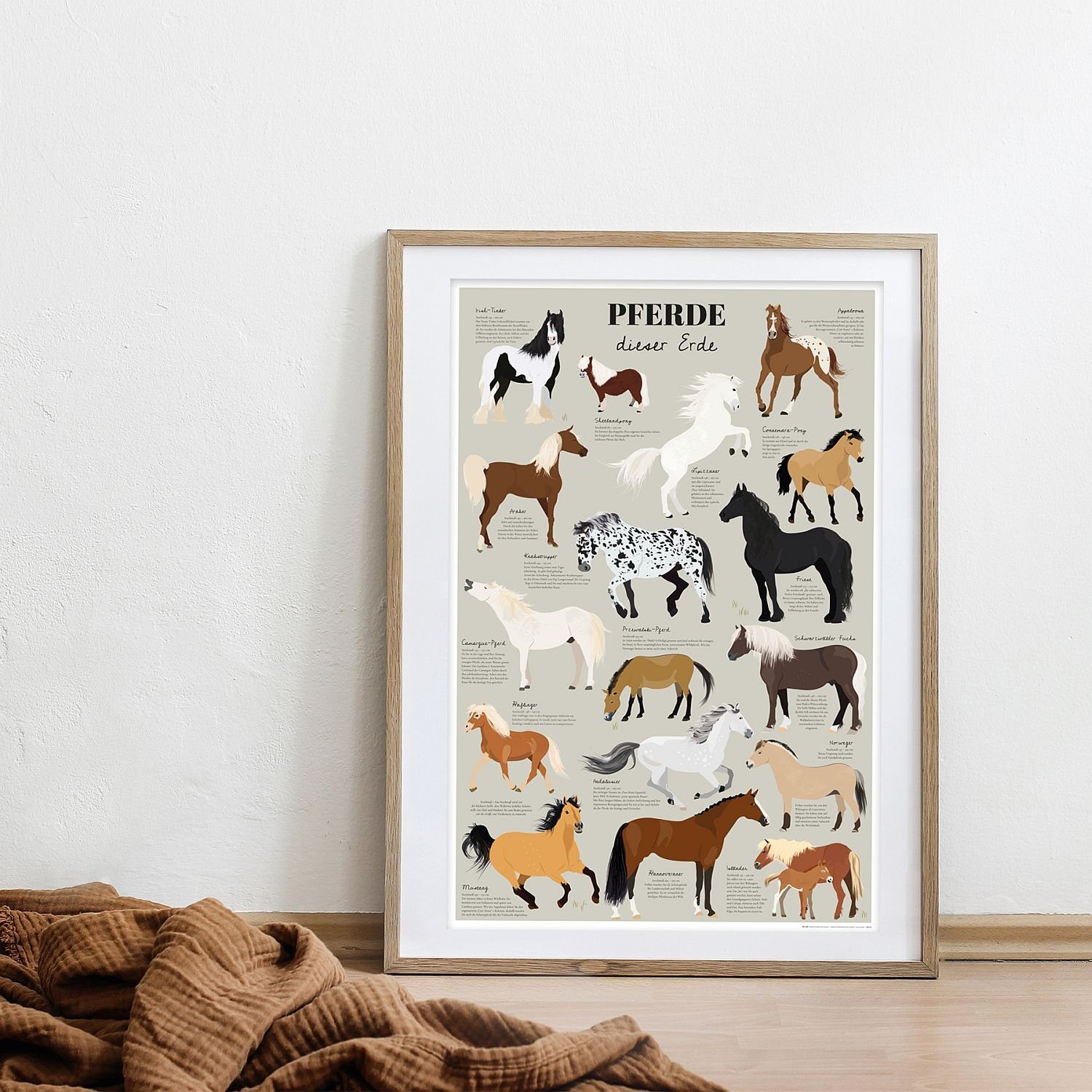 Close Up Poster Pferde dieser Erde günstig online kaufen