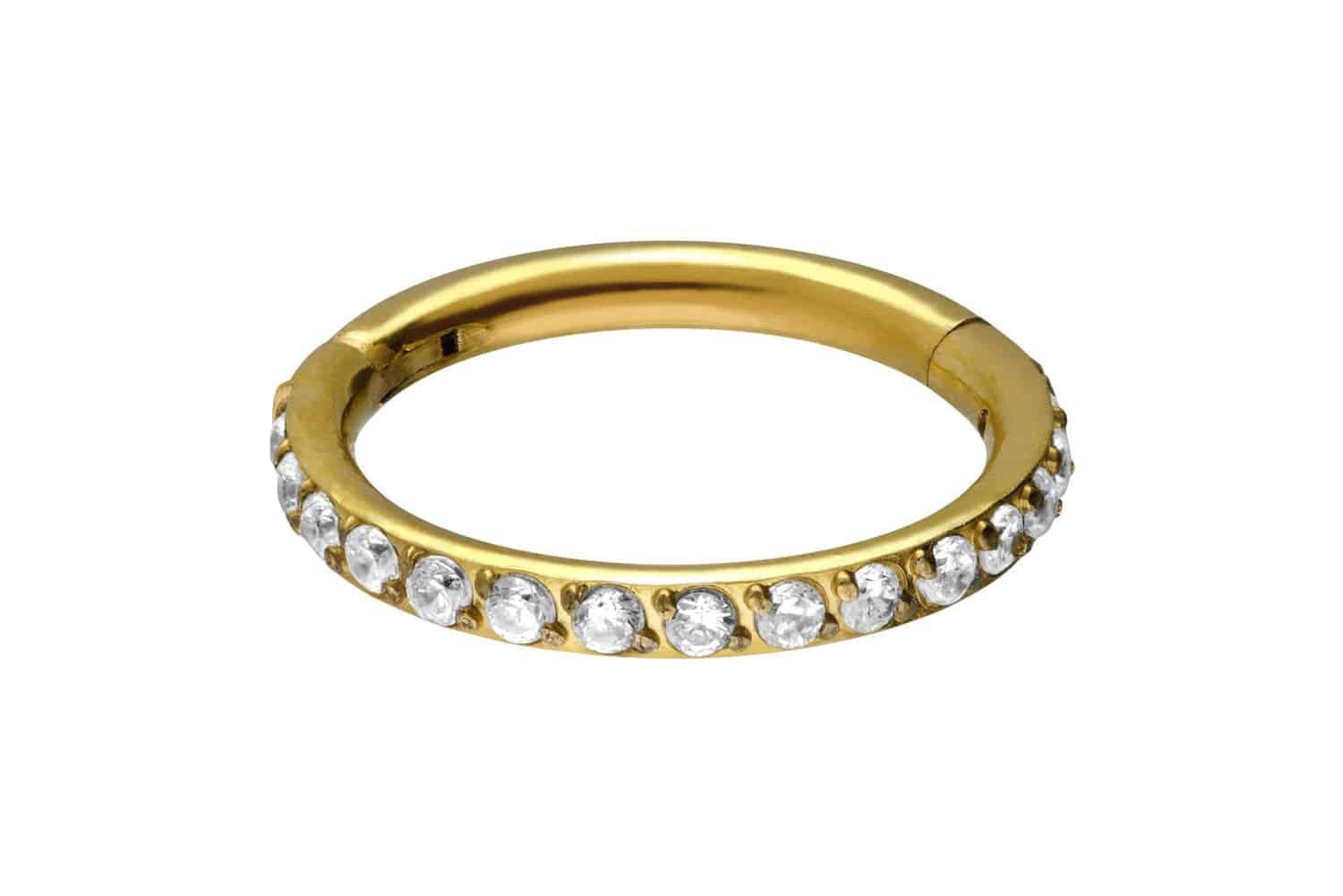 PIERCINGLINE Nasenpiercing Titan Segmentring Clicker EINGEFASSTE KRISTALLE günstig online kaufen