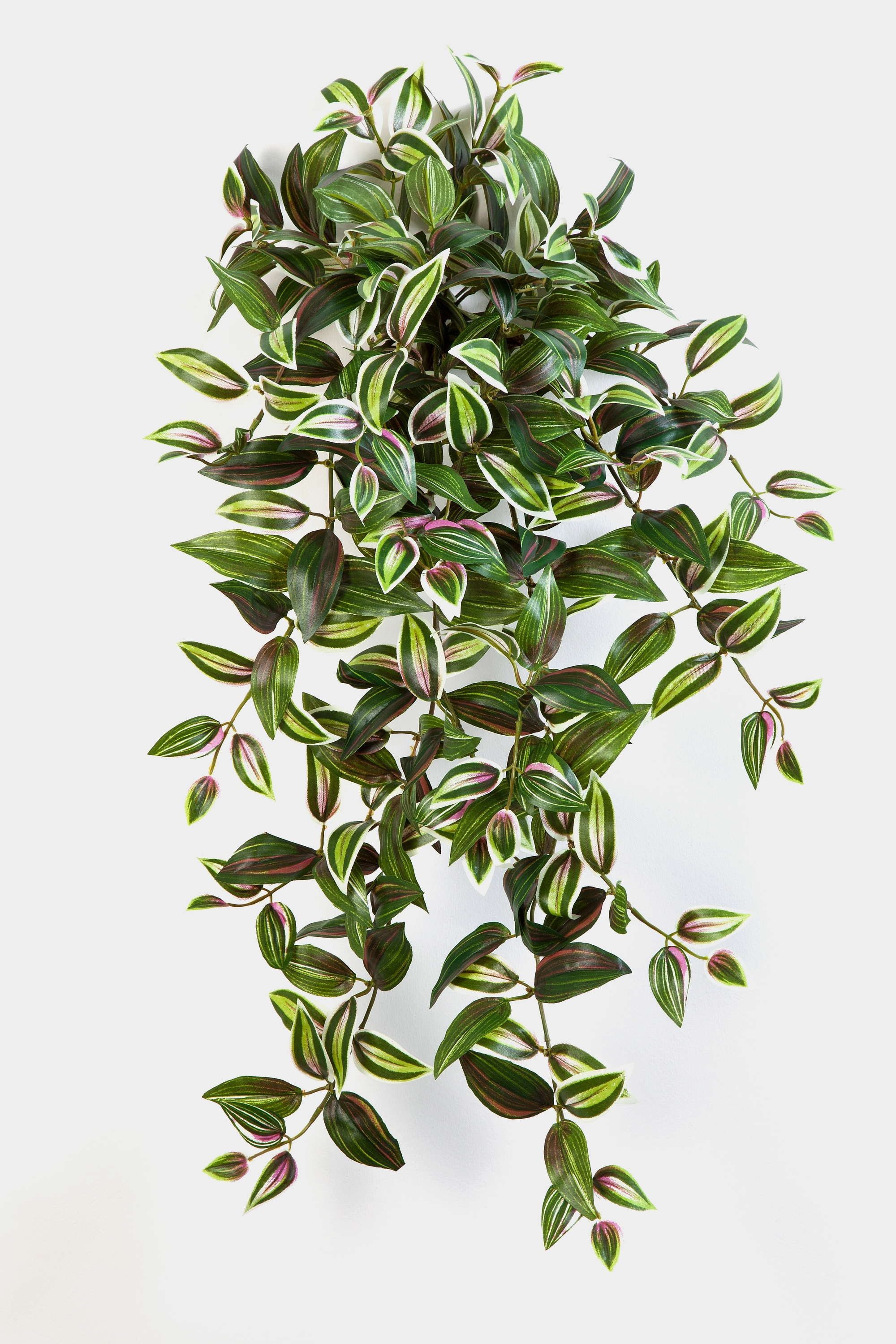 Künstliche Zimmerpflanze Kunst Tradescantia Zebrina Pancho, 260 Blätter, grün-lila, 70cm Tradescantia (Tradescantia zebrina), artplants, Höhe 70.0 cm