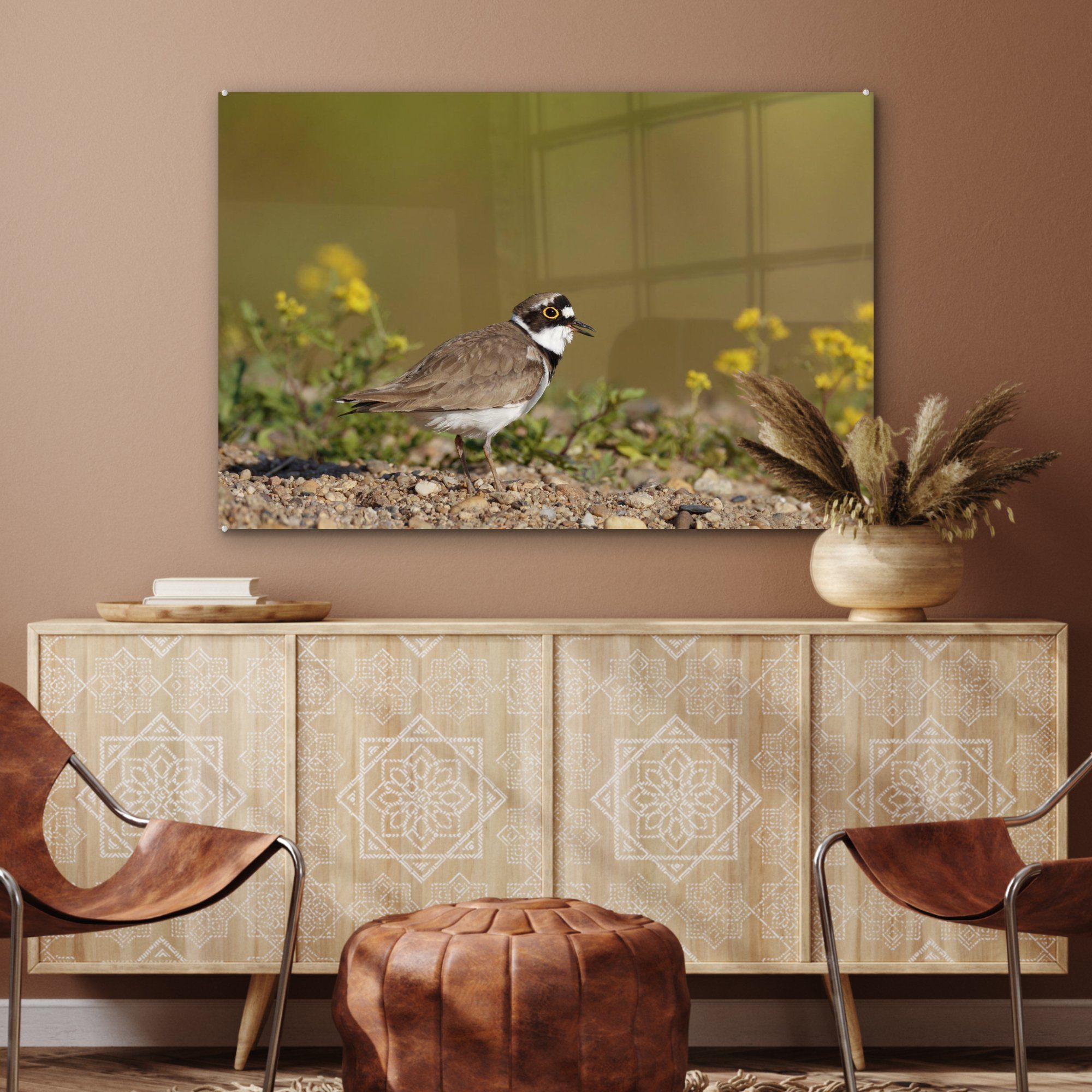 (1 Acrylglasbild MuchoWow St), Acrylglasbilder Blumen, zwischen Schlafzimmer & Flussregenpfeifer Wohnzimmer
