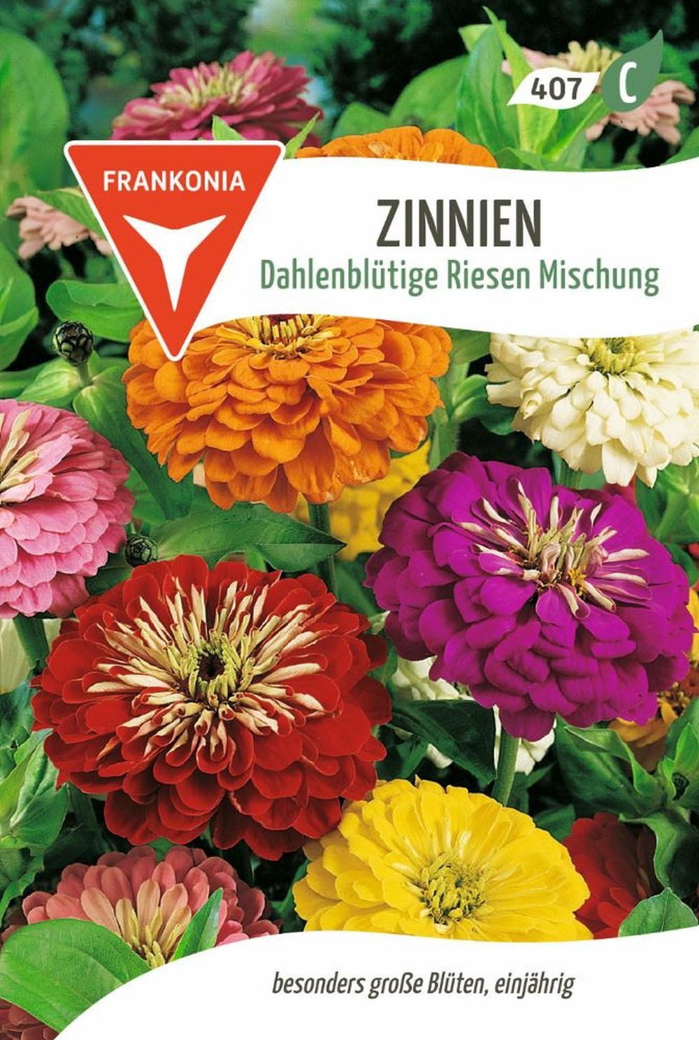 FRANKONIA Blumensamen Zinnie, Dahlienblütige Riesen Mischung Saatgut Zinnie günstig online kaufen
