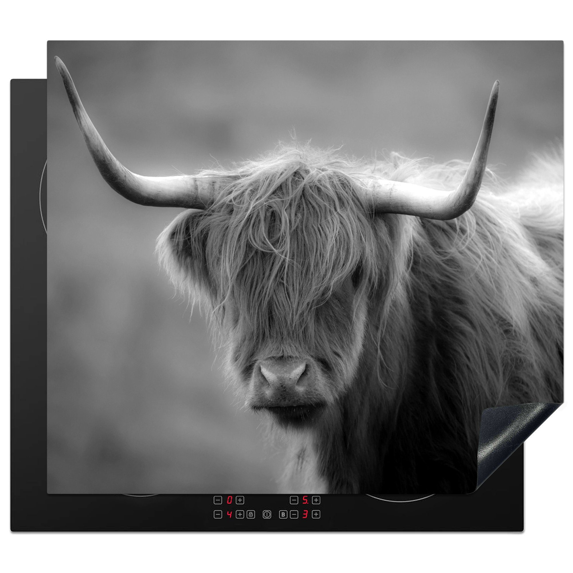 MuchoWow Herdblende-/Abdeckplatte Schottischer Highlander in der Nähe eines Berges - schwarz und weiß, Vinyl, (1 tlg), 58x51 cm, Küchen Dekoration für Induktionsherd, Induktionskochfeld