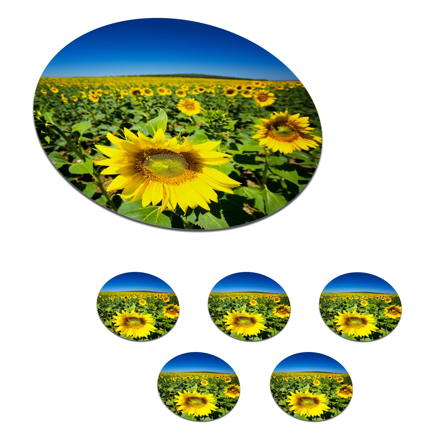 MuchoWow Glasuntersetzer Sonnenblumen unter einem klaren blauen Himmel, Zubehör für Gläser, 6-tlg., Getränkeuntersetzer, Tassenuntersetzer, Korkuntersetzer, Tasse, Becher