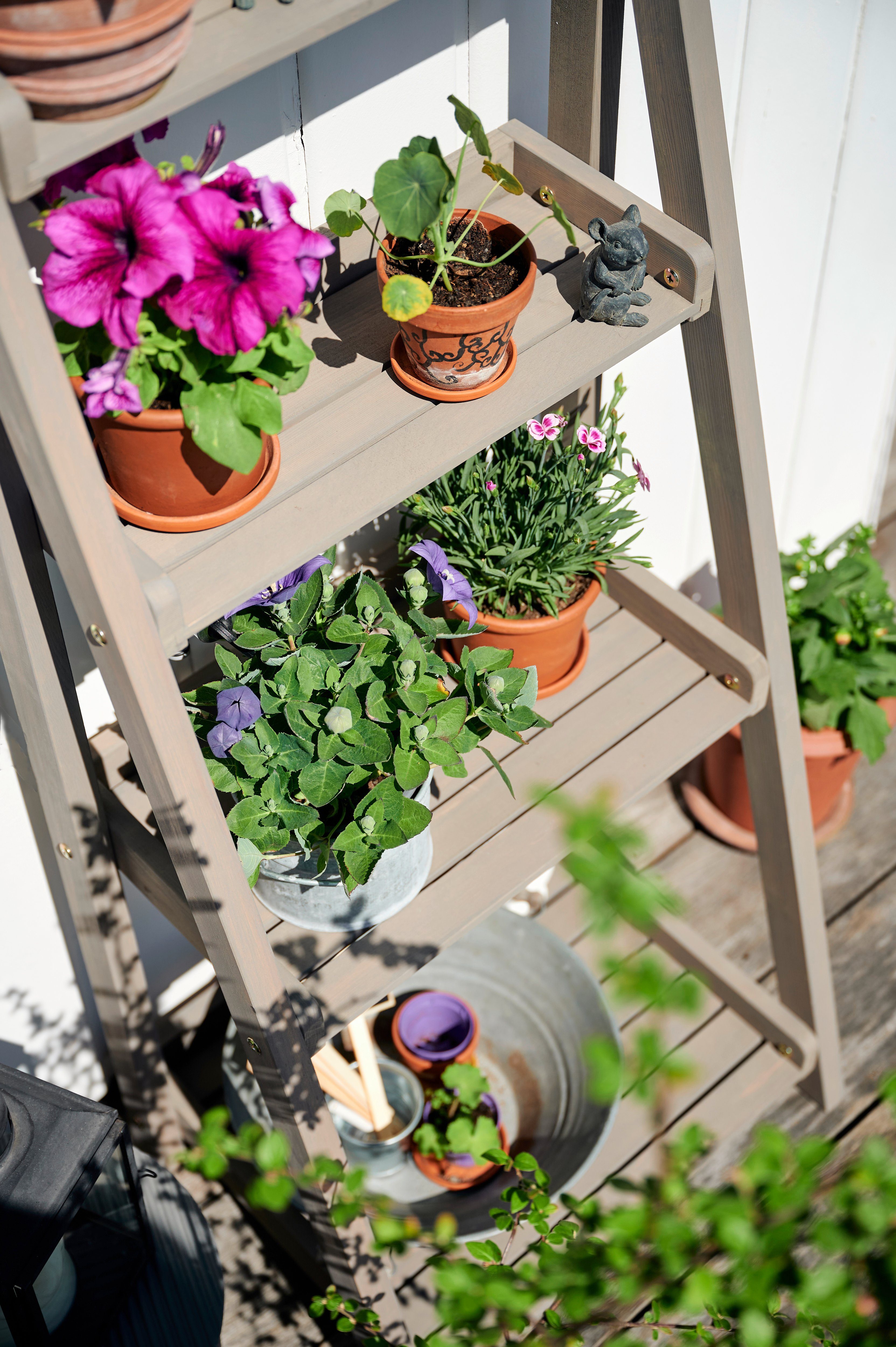 Terrasse für Holz, Garten, BUTENKIST GESA, Etagen, Pflanzentreppe aus 4 Pflanzenständer Balkon,