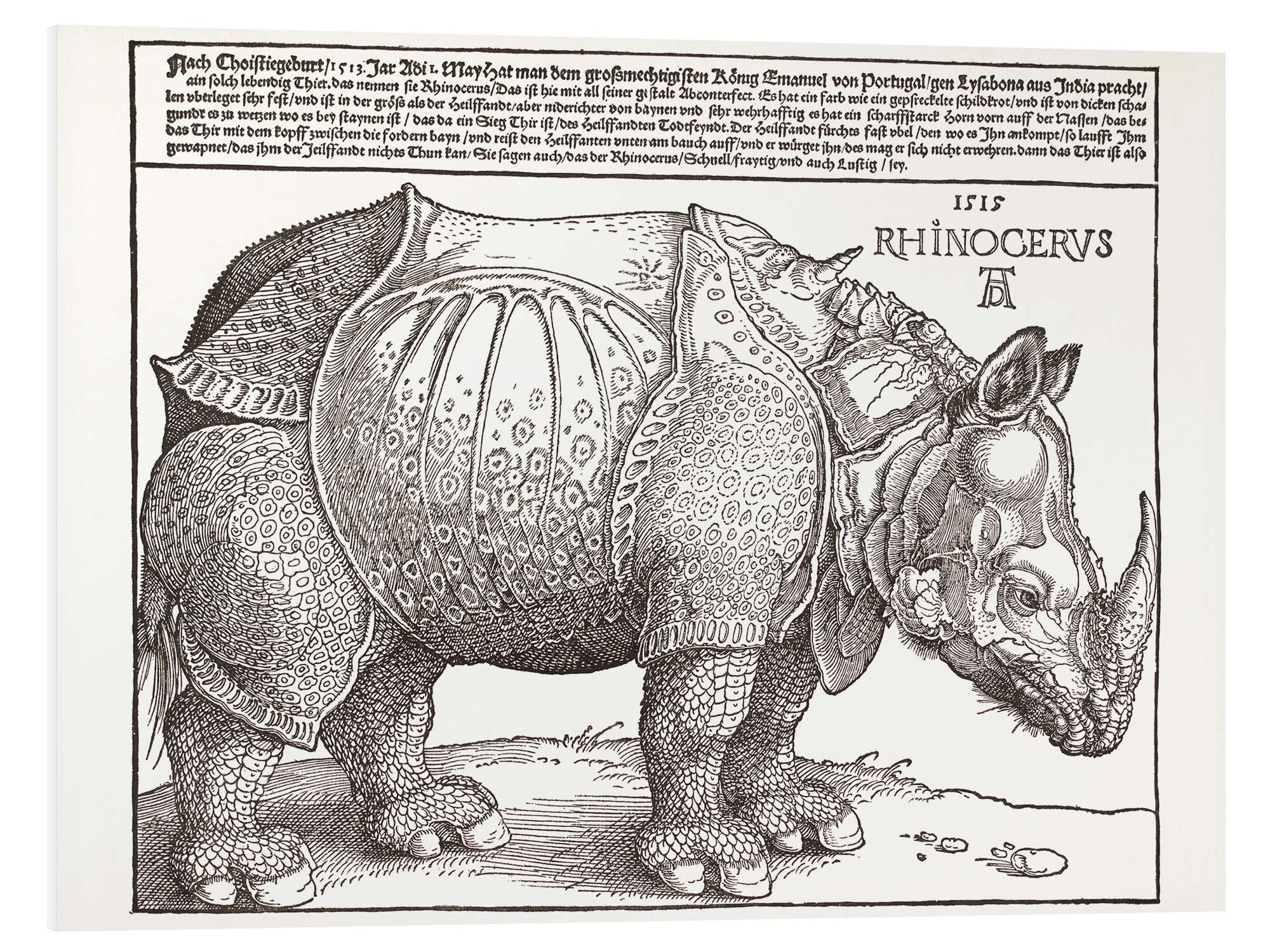 Forex-Bild Albrecht Dürer