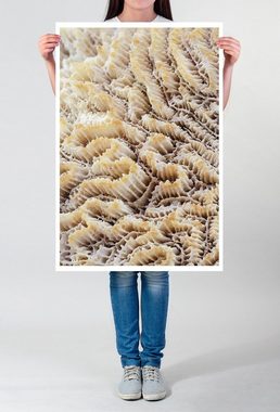 Sinus Art Poster 60x90cm Poster Naturfotografie  Weiße Korallen