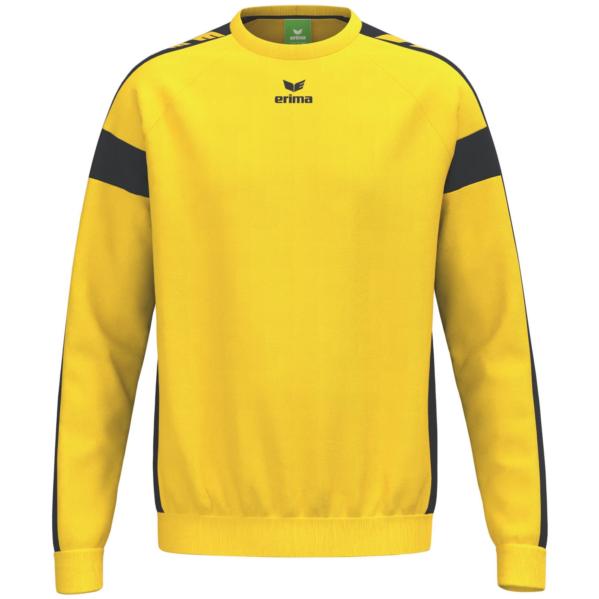 Erima Sweatshirt CMPT 3 Wings Sweatshirt GK