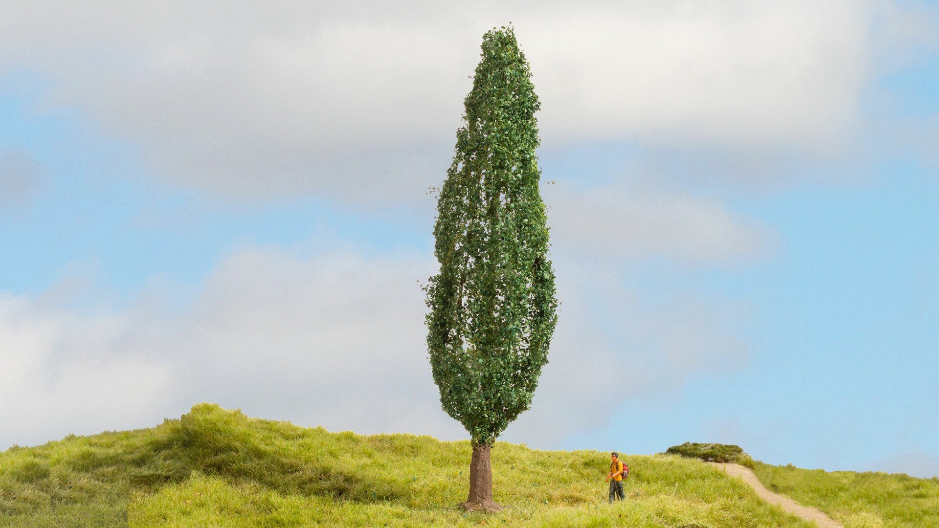 Dekobaum NOCH® Pappel, Modellbaum im Grünen, 18 cm hoch für