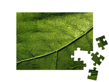 puzzleYOU Puzzle Makroaufnahme: Ein regennasses Blatt, 48 Puzzleteile, puzzleYOU-Kollektionen Flora, Pflanzen, Blumen & Pflanzen