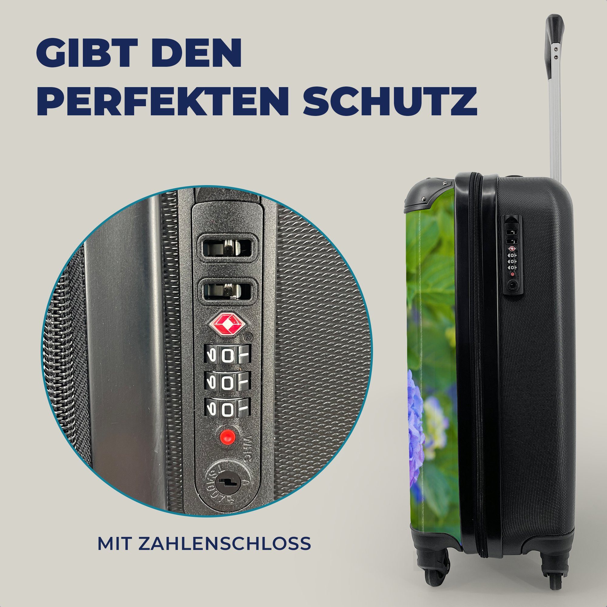 für 4 MuchoWow violett-blauen Hortensie, Nahaufnahme Handgepäck rollen, Rollen, Reisekoffer Ferien, einer Reisetasche mit Handgepäckkoffer Trolley,