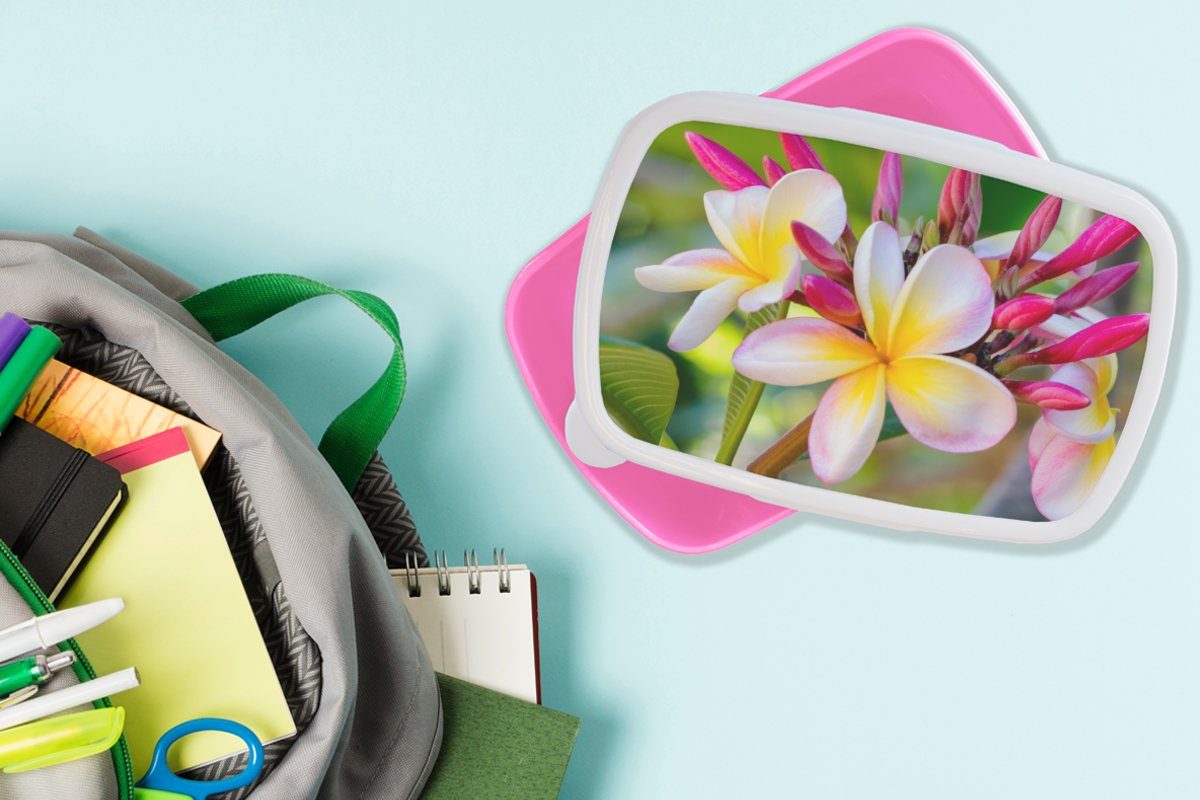Kinder, Kunststoff Snackbox, Kunststoff, Lunchbox für Brotdose Erwachsene, Mädchen, Brotbox (2-tlg), MuchoWow - Plumeria rosa - Farben, Blumen