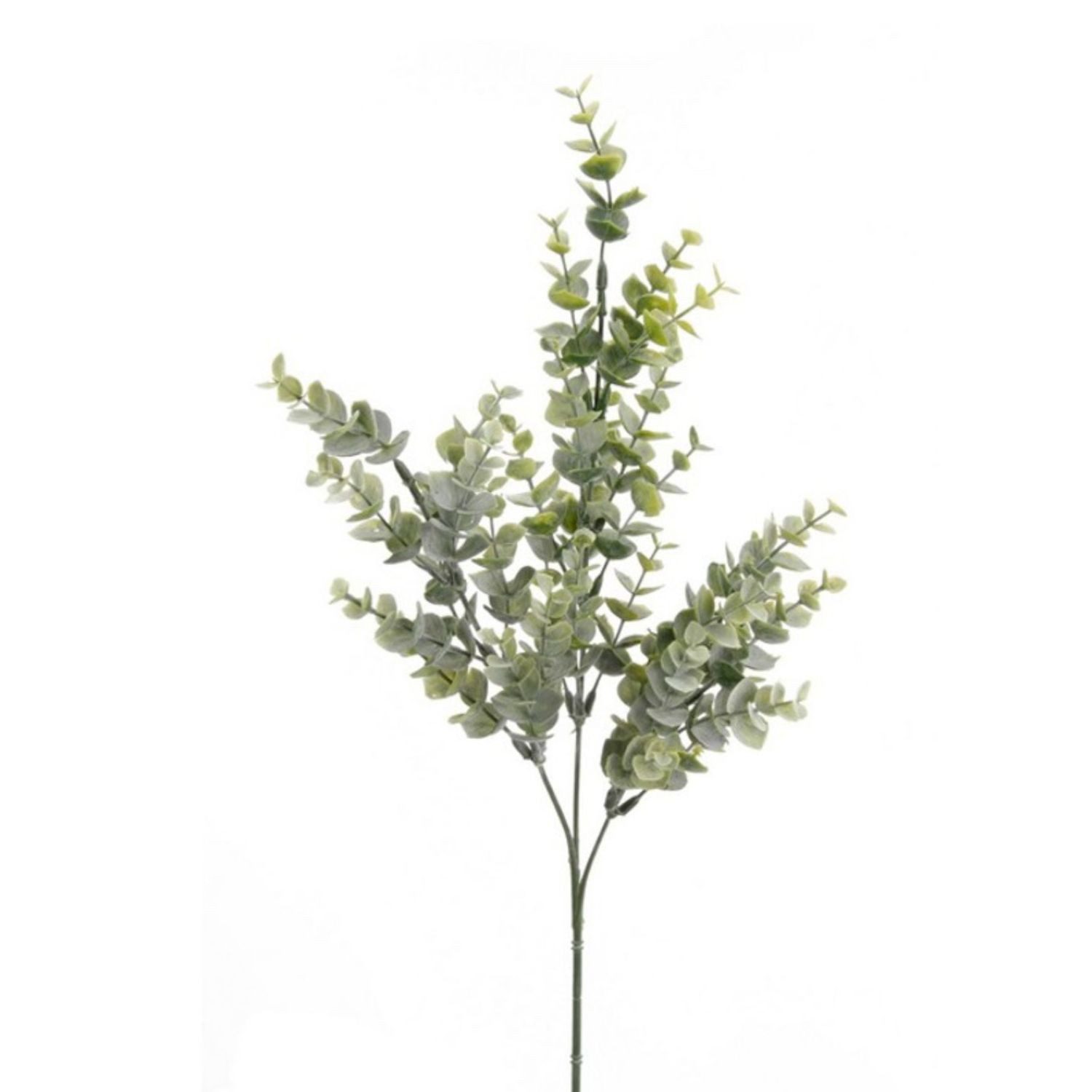Kunstblume Blätterzweig Eukalyptus, Emerald, Höhe 68 cm, Farbe: Grün