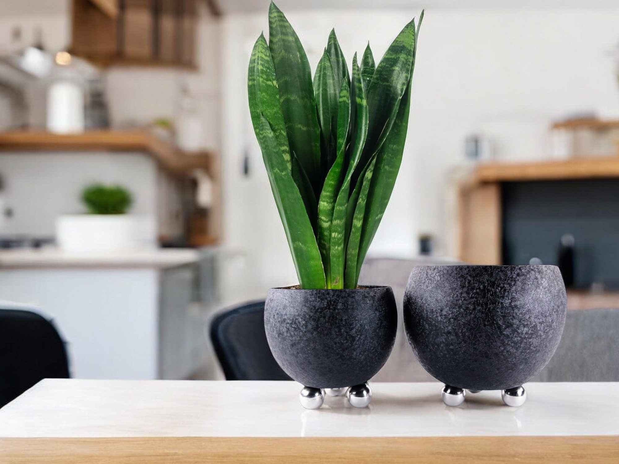 trends for living Pflanzkübel Blumentopf Pflanzentopf Kübel in Schwarz mit Edelstahlfüßen 4 Größen