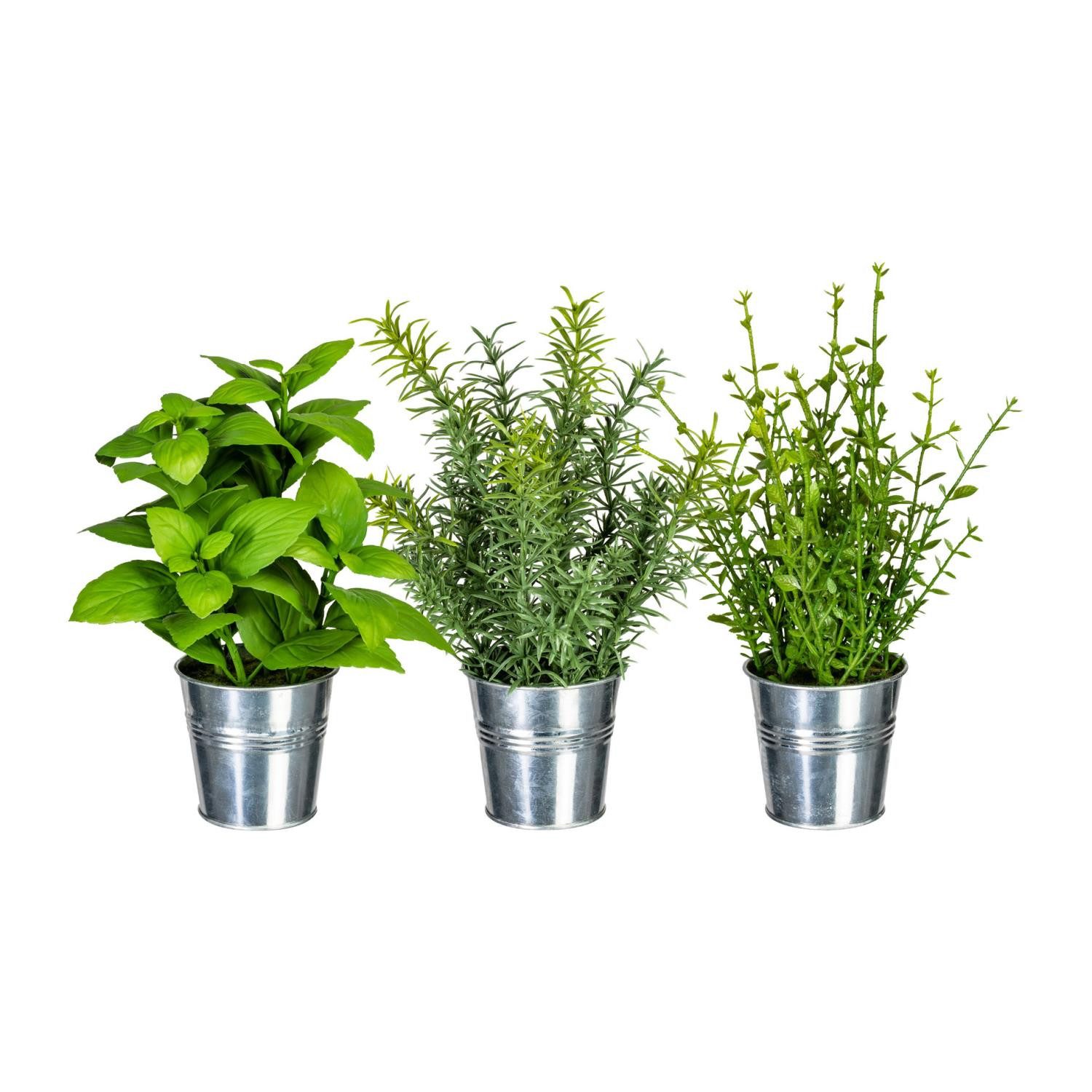 Künstliche Zimmerpflanze Kräuter Kräuter, Gasper, Höhe 26 cm, Im Topf, Grün, Kräuter, H: 26cm