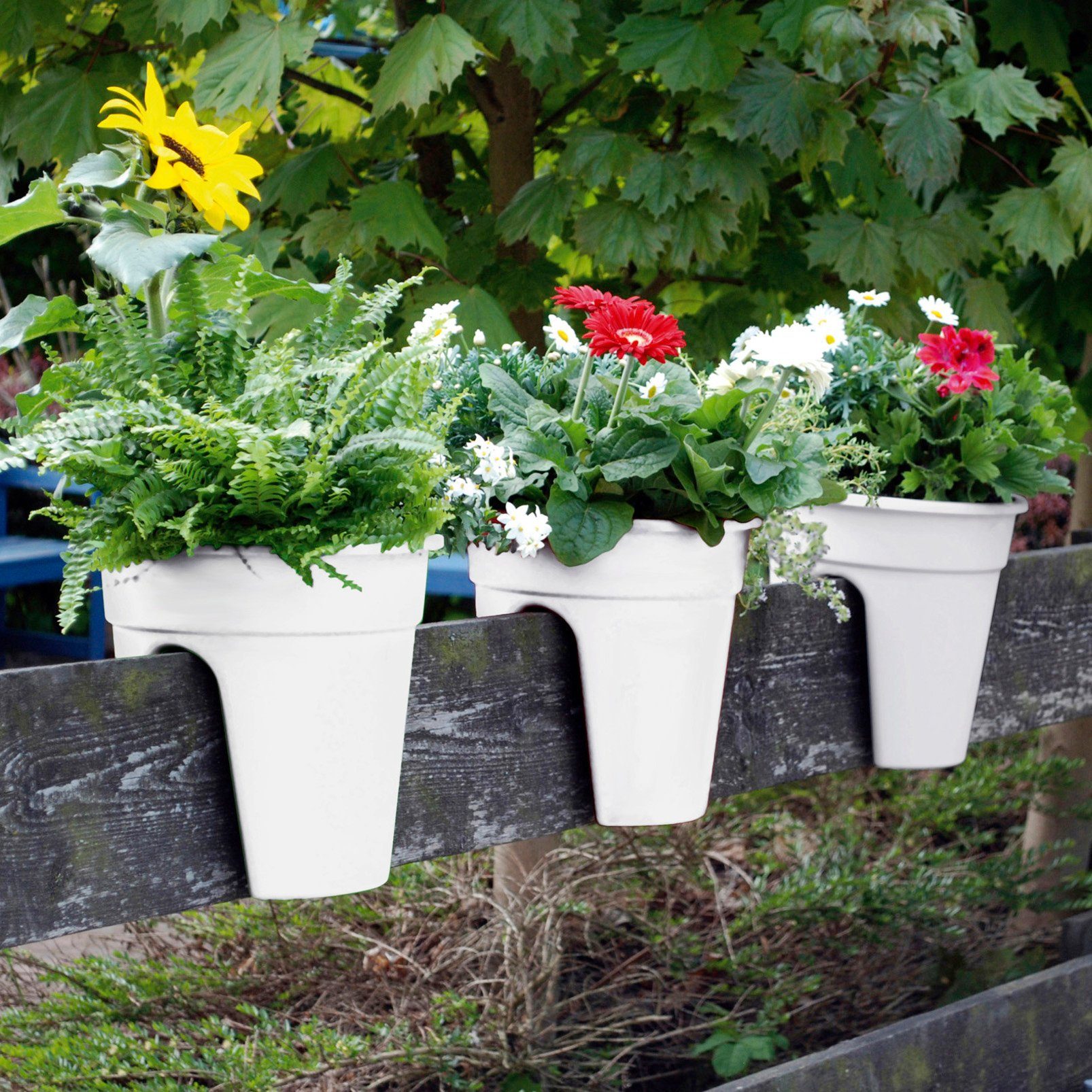 KHW Balkonkasten Flowerclip (Set, 3 St), ØxH: 27x27,5 cm