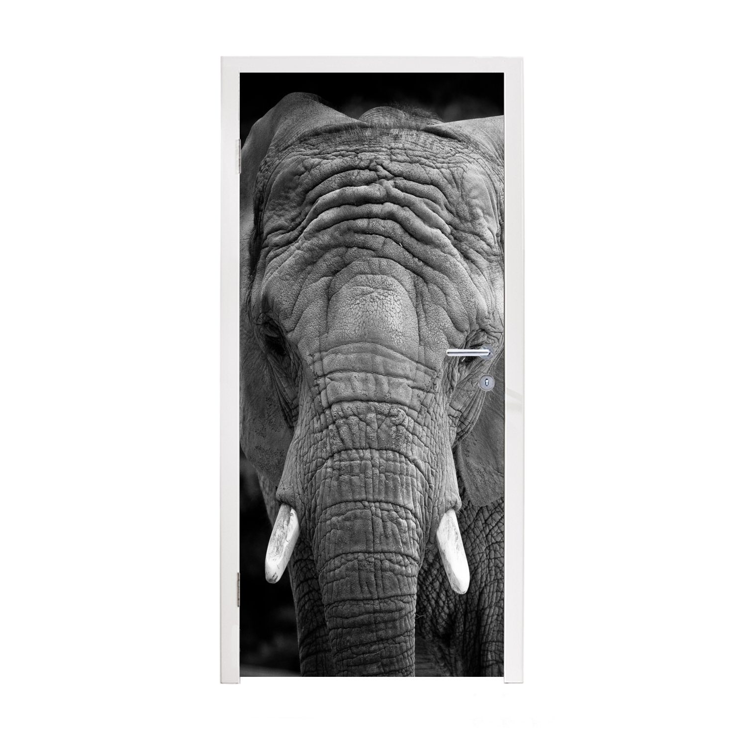 MuchoWow Türtapete Porträt eines Elefanten in Schwarz und Weiß, Matt, bedruckt, (1 St), Fototapete für Tür, Türaufkleber, 75x205 cm