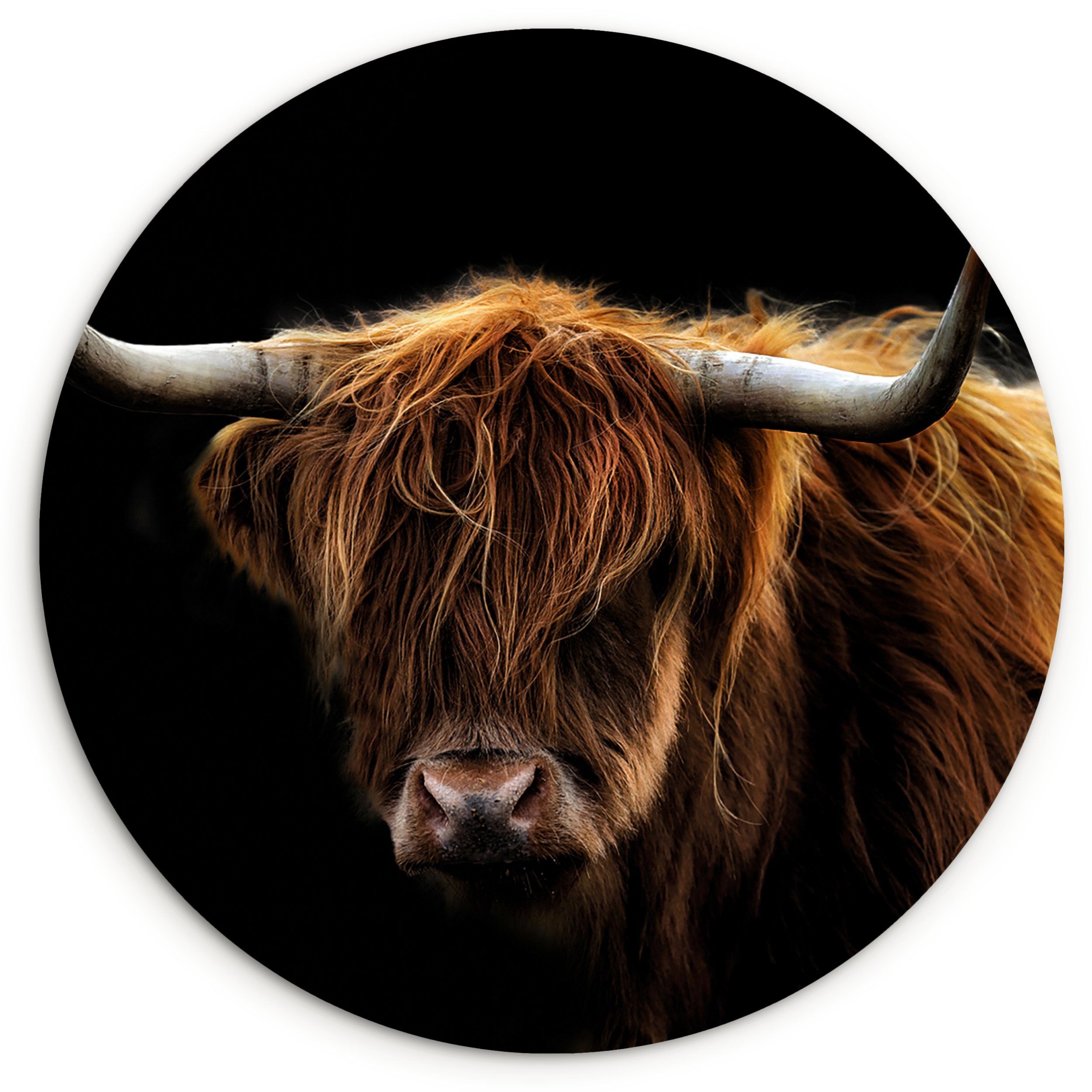 MuchoWow Gemälde Schottischer Highlander - Hörner - Schwarz - Tiere - Natur - Wild - Ku, Fotodruck (1 St), Kreis Wanddekoration, Rundes Wandbild, 30x30 cm