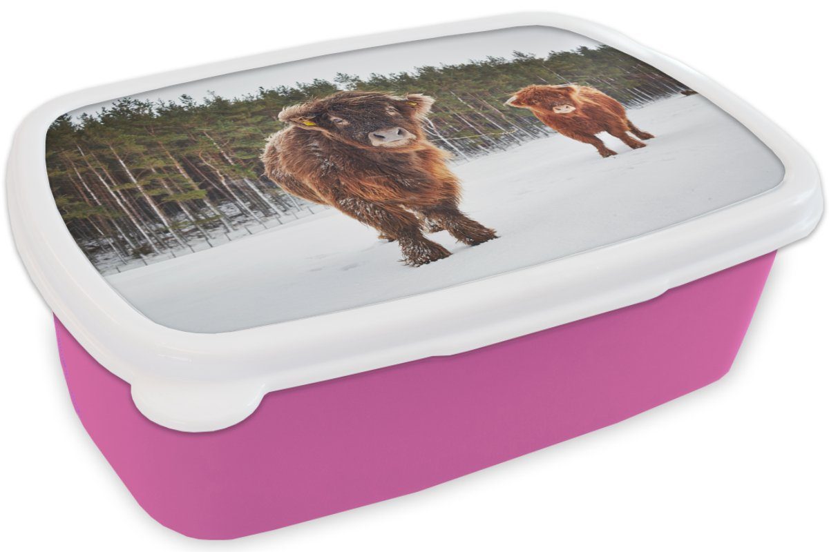 MuchoWow Lunchbox Schottische Highlander - Kunststoff Snackbox, Kinder, Kunststoff, für Erwachsene, (2-tlg), Brotdose Mädchen, Schnee - rosa Brotbox Kühe