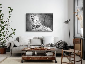 Sinus Art Leinwandbild 120x80cm Wandbild auf Leinwand Zwei weiße Schneeleoparden Schwarz Weiß, (1 St)