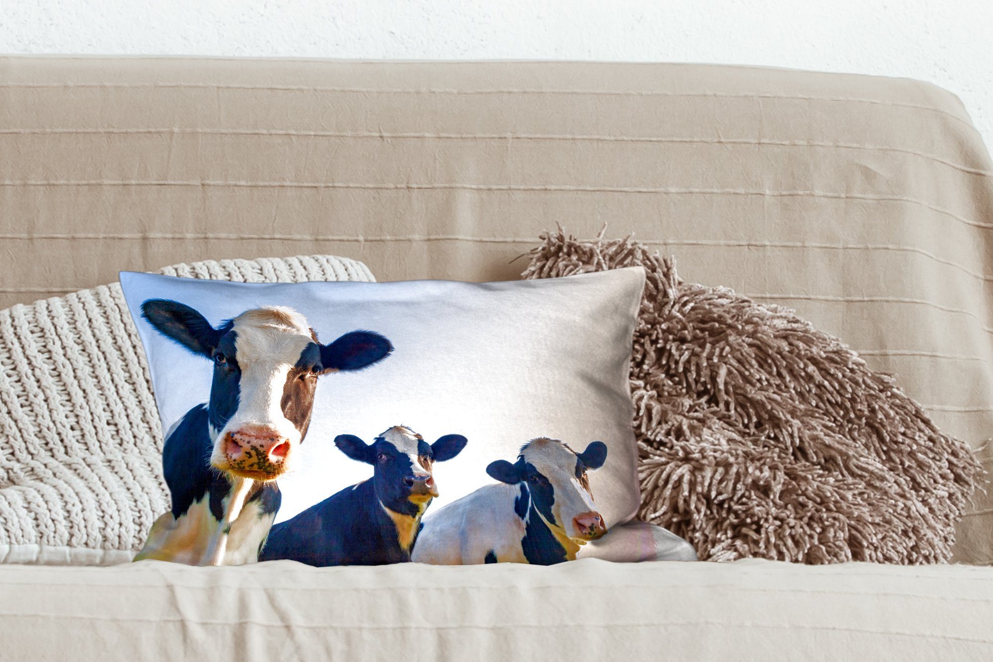 Makro, Wohzimmer Tiere - Schlafzimmer mit Dekokissen Zierkissen, MuchoWow Dekoration, - Dekokissen Kuh Blau - Füllung,