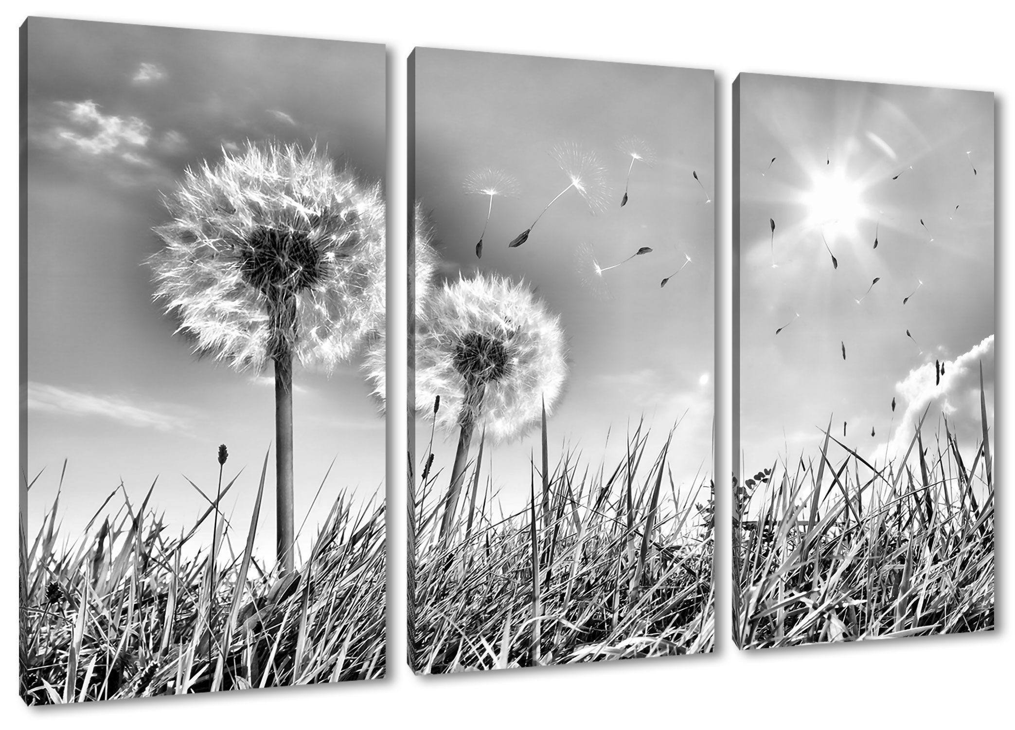 Leinwandbild Frühlingswiese, Leinwandbild St), Frühlingswiese Pusteblumen auf bespannt, 3Teiler Zackenaufhänger Pusteblumen (1 Pixxprint (120x80cm) auf fertig inkl.