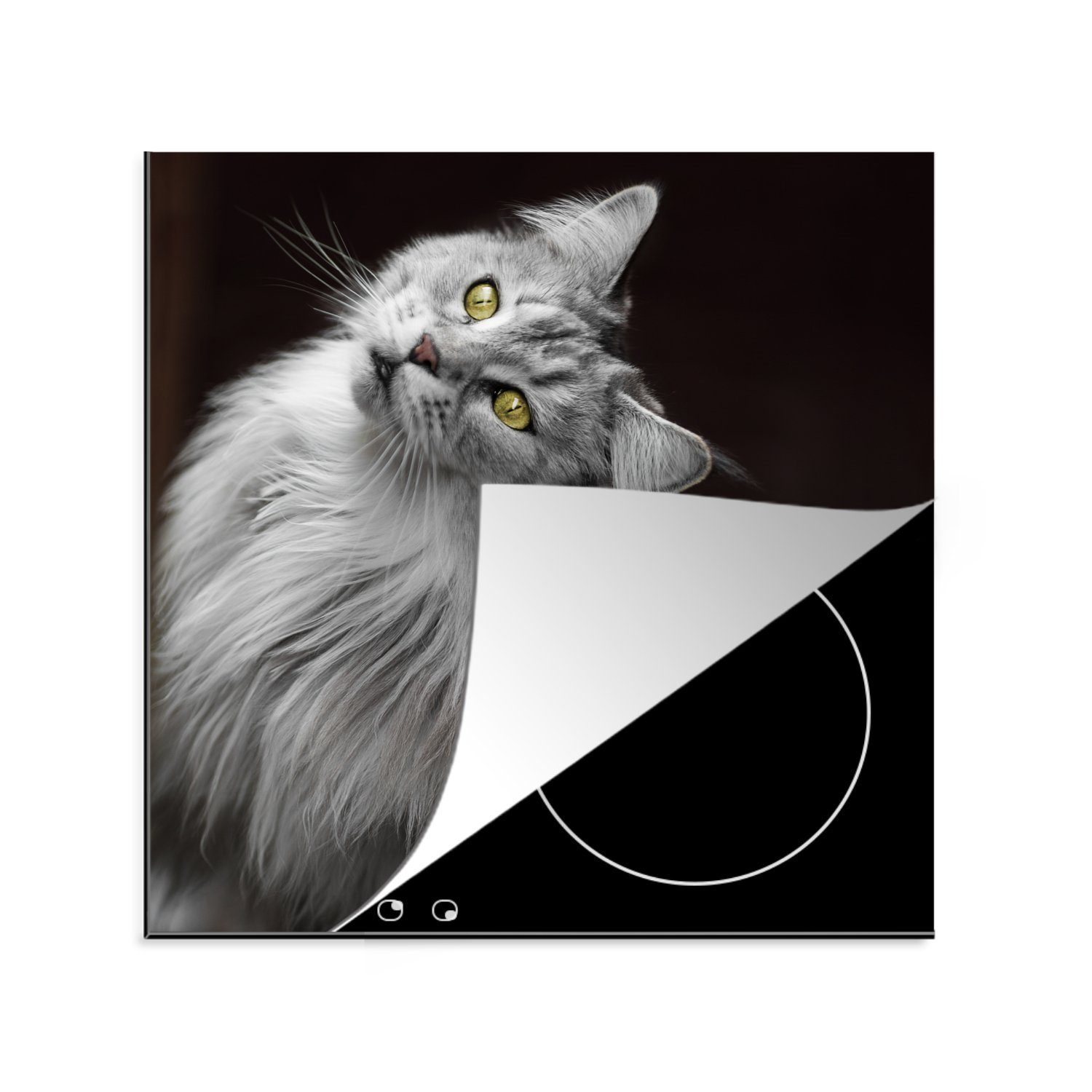 MuchoWow Herdblende-/Abdeckplatte Weiße und graue Maine Coon Katze, Vinyl, (1 tlg), 78x78 cm, Ceranfeldabdeckung, Arbeitsplatte für küche