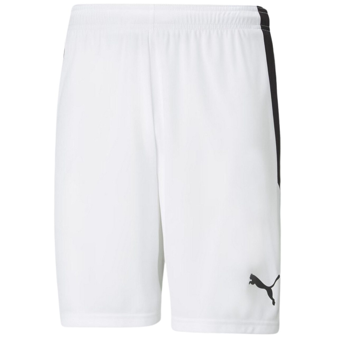 PUMA Trainingsshorts Puma teamLIGA