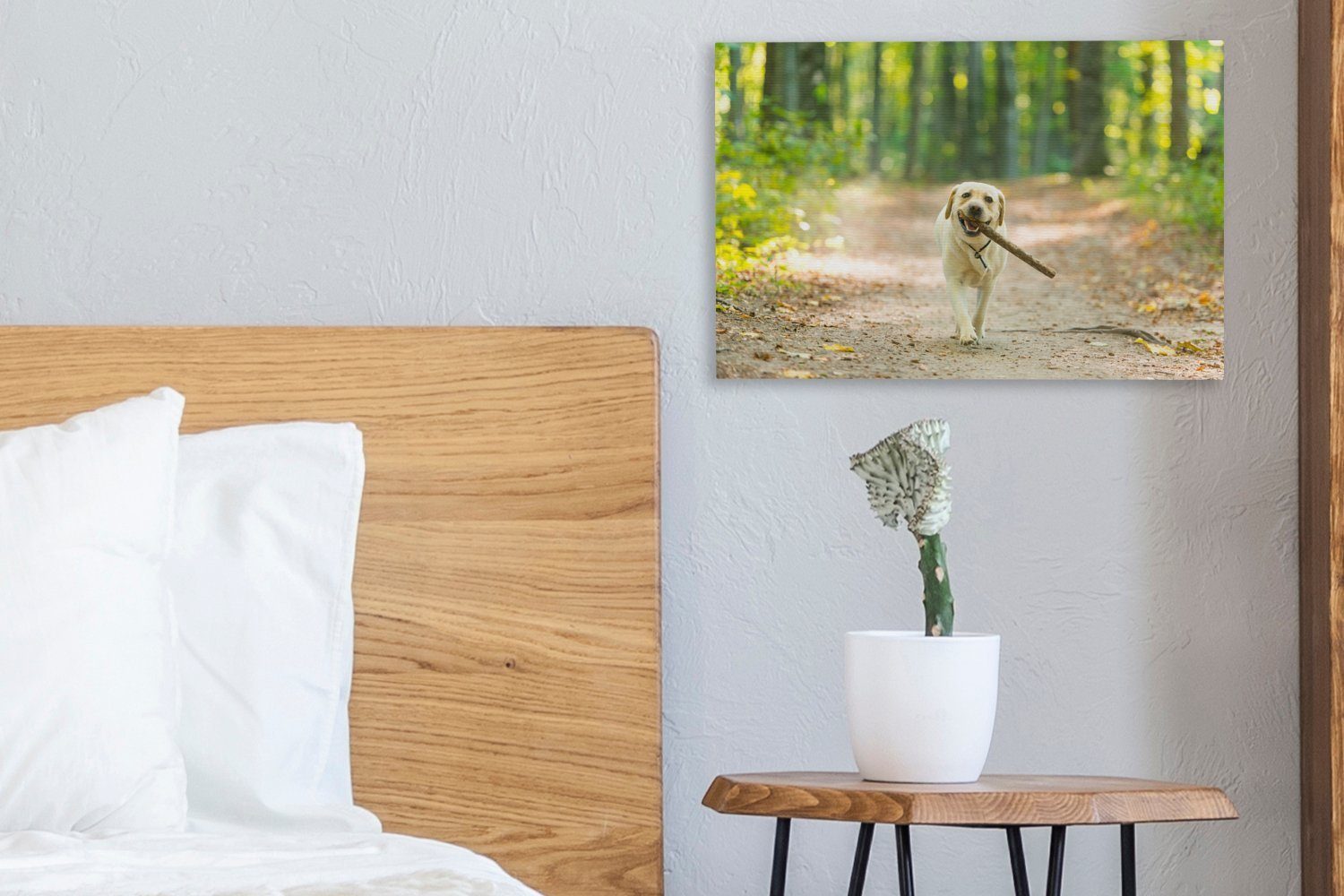 OneMillionCanvasses® Leinwandbild Wald Aufhängefertig, St), Wandbild Bäume, (1 Wanddeko, 30x20 - Leinwandbilder, - Hund cm