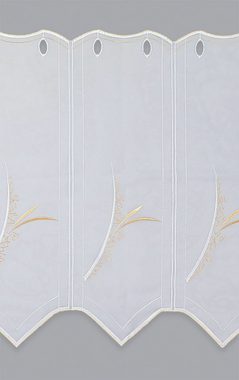 Scheibengardine Strelitzia, Plauener Spitze®, (1 St), transparent, HxB 30x49.2cm