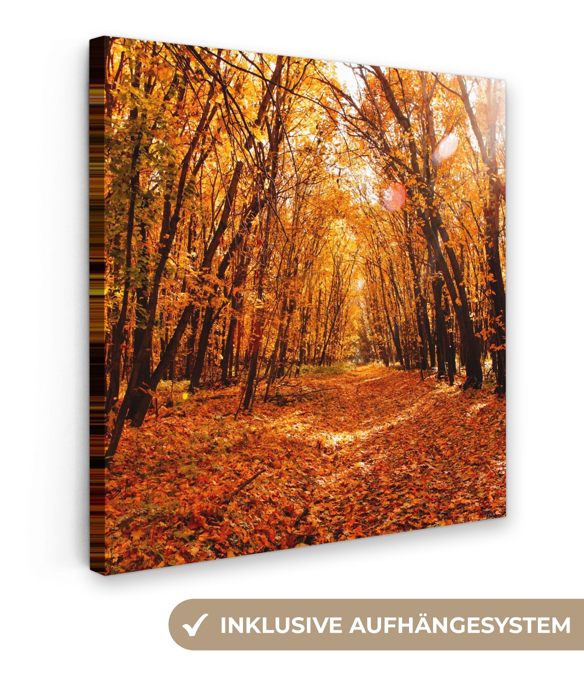 OneMillionCanvasses® Leinwandbild Herbst - Wald - Laub - Jahreszeiten, Fotodruck (1 St), Wandbild, Deko Schlafzimmer Wohnzimmer Flur 20x20 cm
