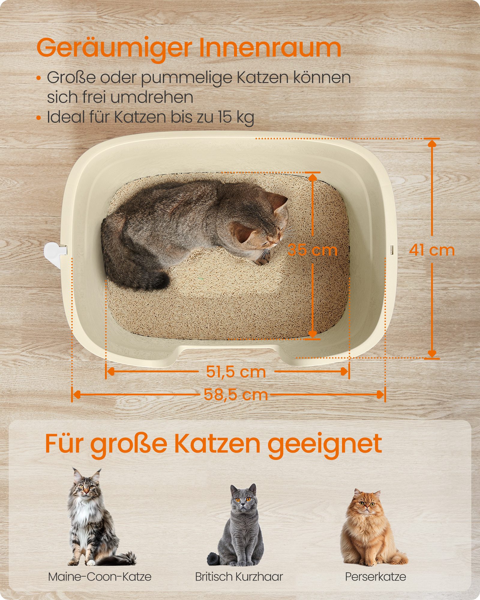 FEANDREA Katzentoilette, für große Katzen, mit hohen Seitenwänden, Schaufel