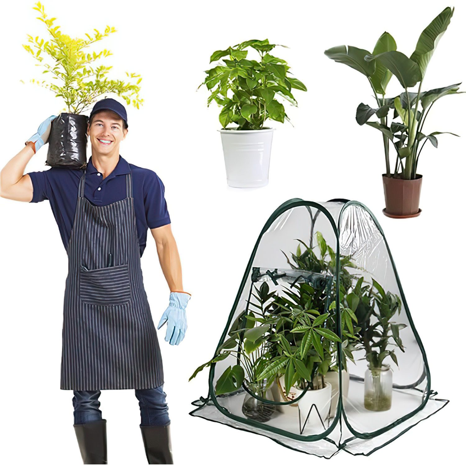 HEYHIPPO Gewächshaus 70x70x80cm Pop-up Mini Anzucht gewächshaus Zelt Pflanzenschutzhülle, Geeignet für den Innen- und Außenbereich wie Balkon oder Garten, Trans – Bild 3 von 5