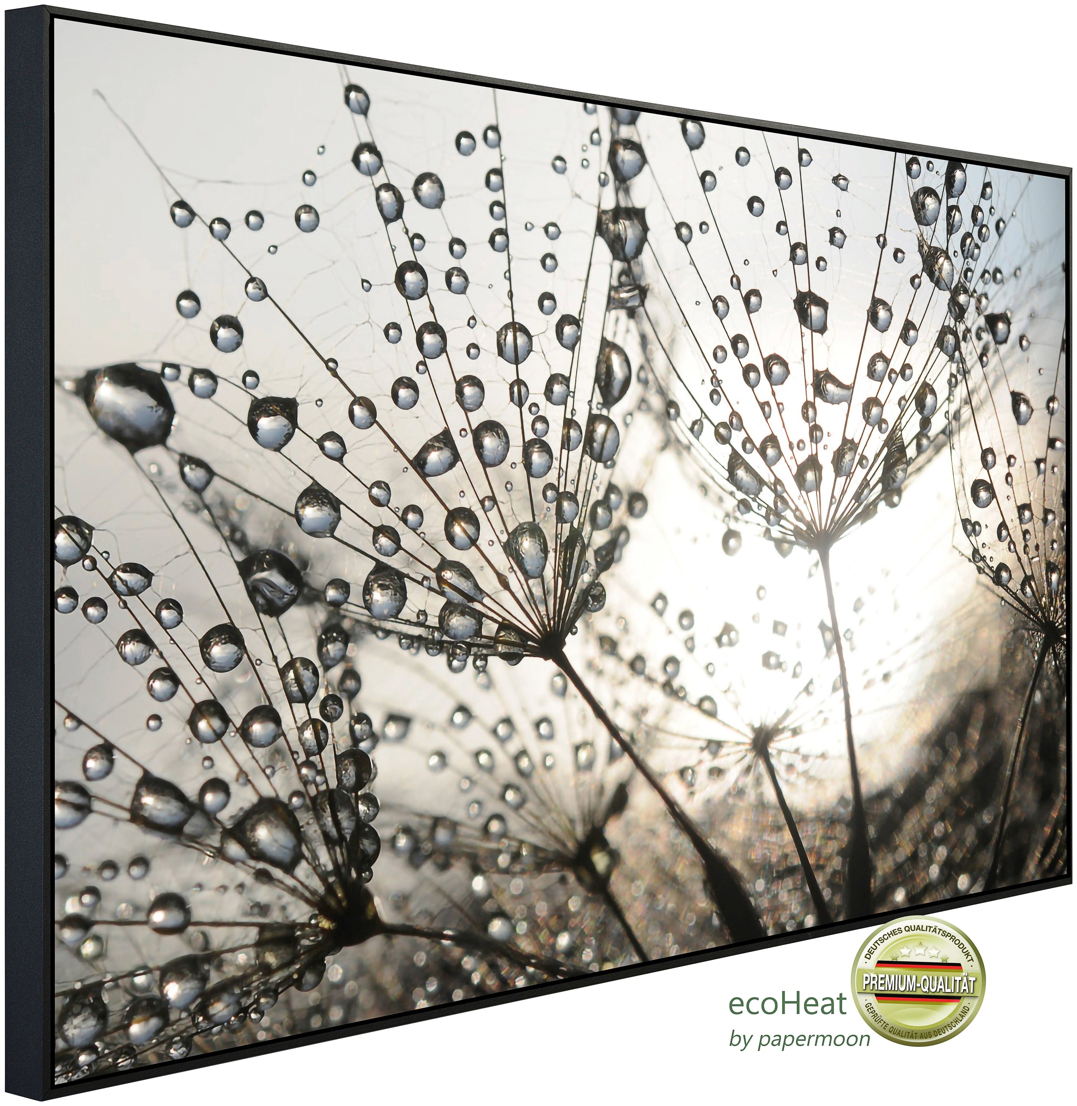 Infrarotheizung Löwenzahnsamen Tropfen