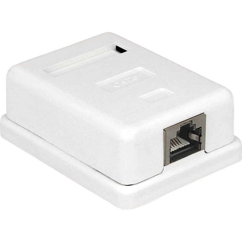 Delock 86169 Netzwerkdose Aufputz, Gerätemontage Einsatz mit Zentralpl Netzwerk-Adapter