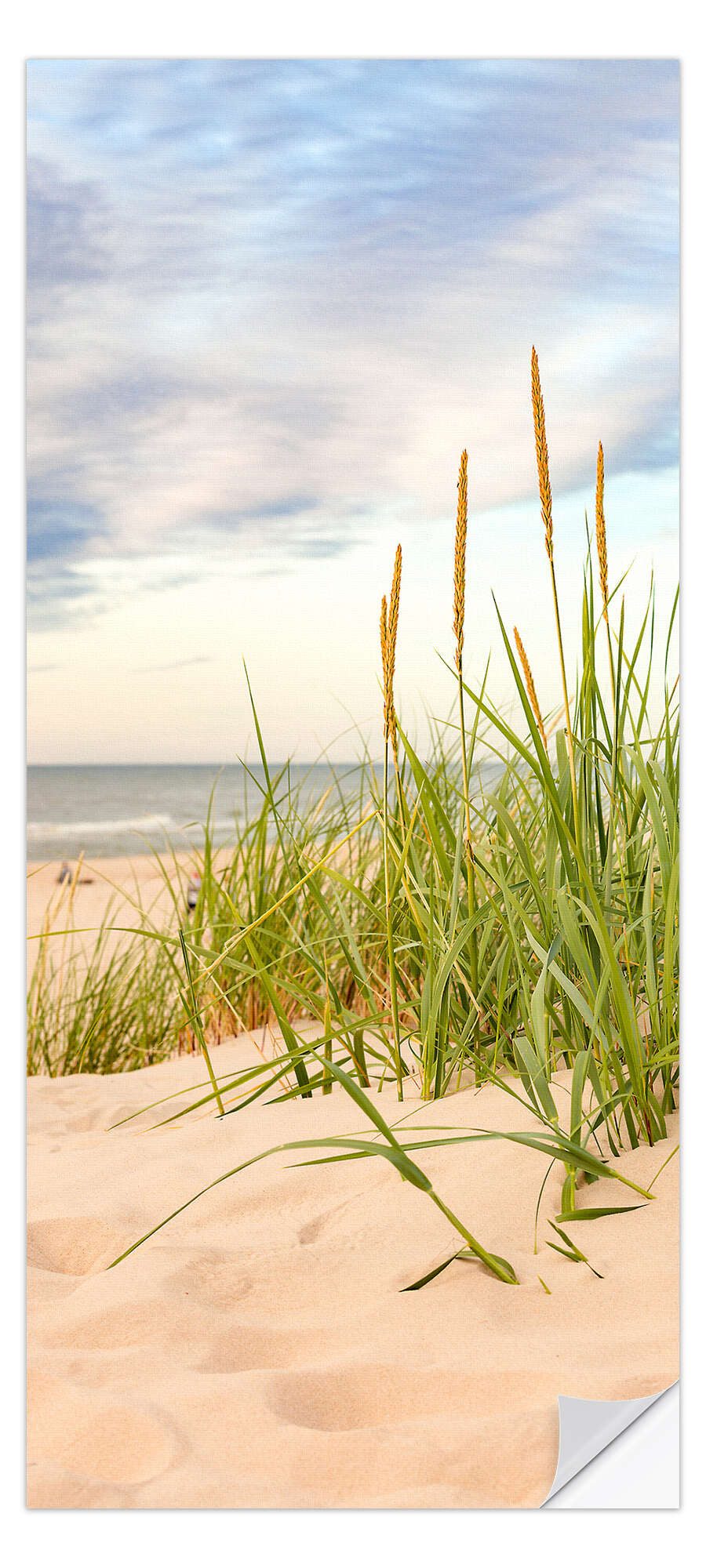 Posterlounge Wandfolie Editors Choice, Düne mit Strandhafer, Badezimmer Fotografie