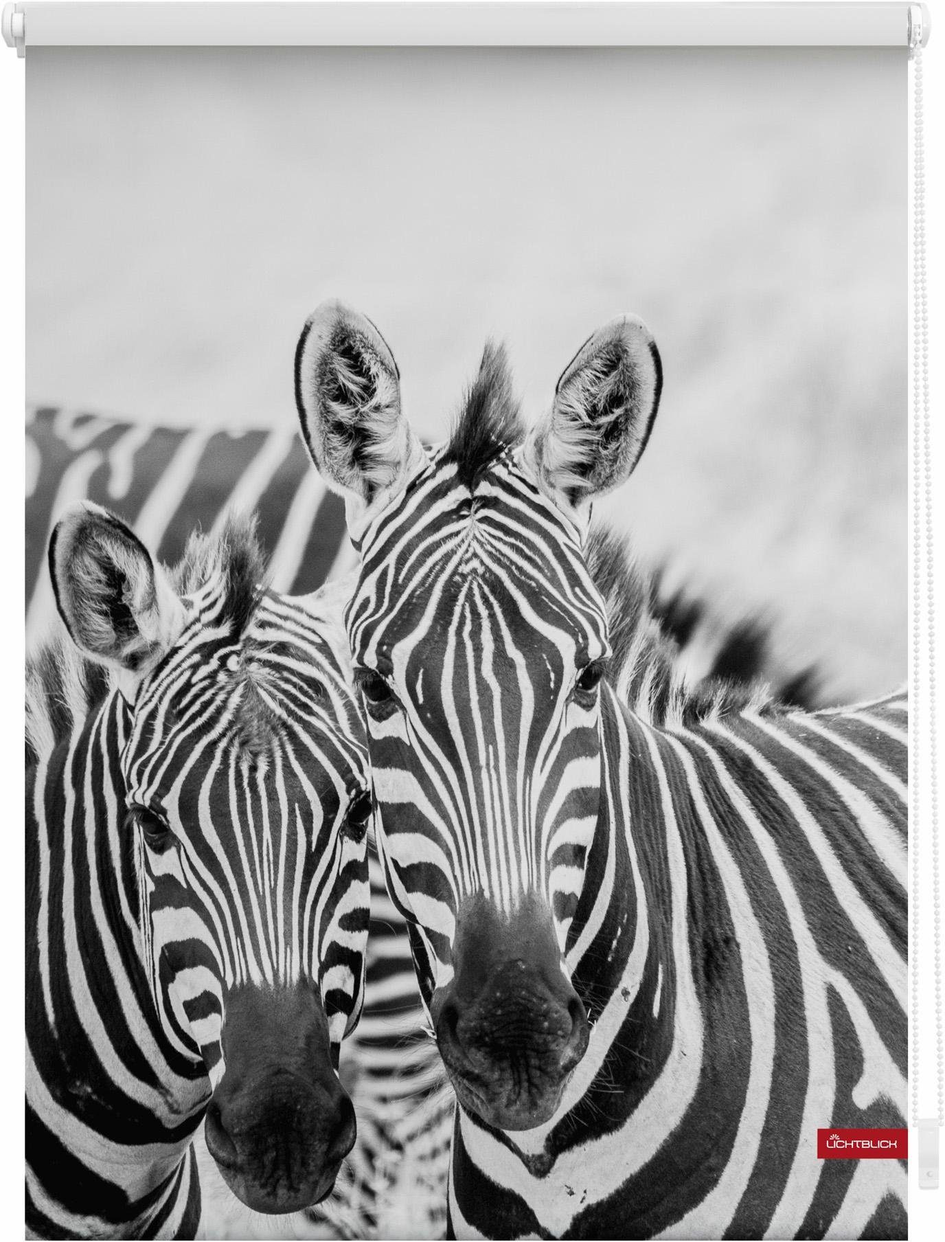 Seitenzugrollo »Klemmfix Motiv Zebra«, LICHTBLICK ORIGINAL, Lichtschutz, ohne  Bohren, freihängend, bedruckt online kaufen | OTTO