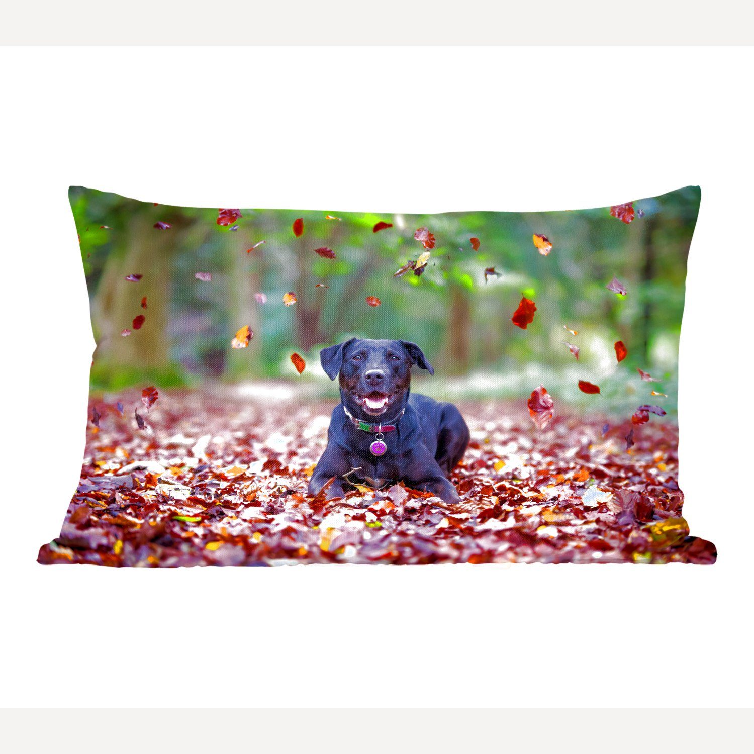 MuchoWow Dekokissen Schwarzer Labrador Retriever zwischen schönen Herbstblättern liegend, Wohzimmer Dekoration, Zierkissen, Dekokissen mit Füllung, Schlafzimmer | Dekokissen