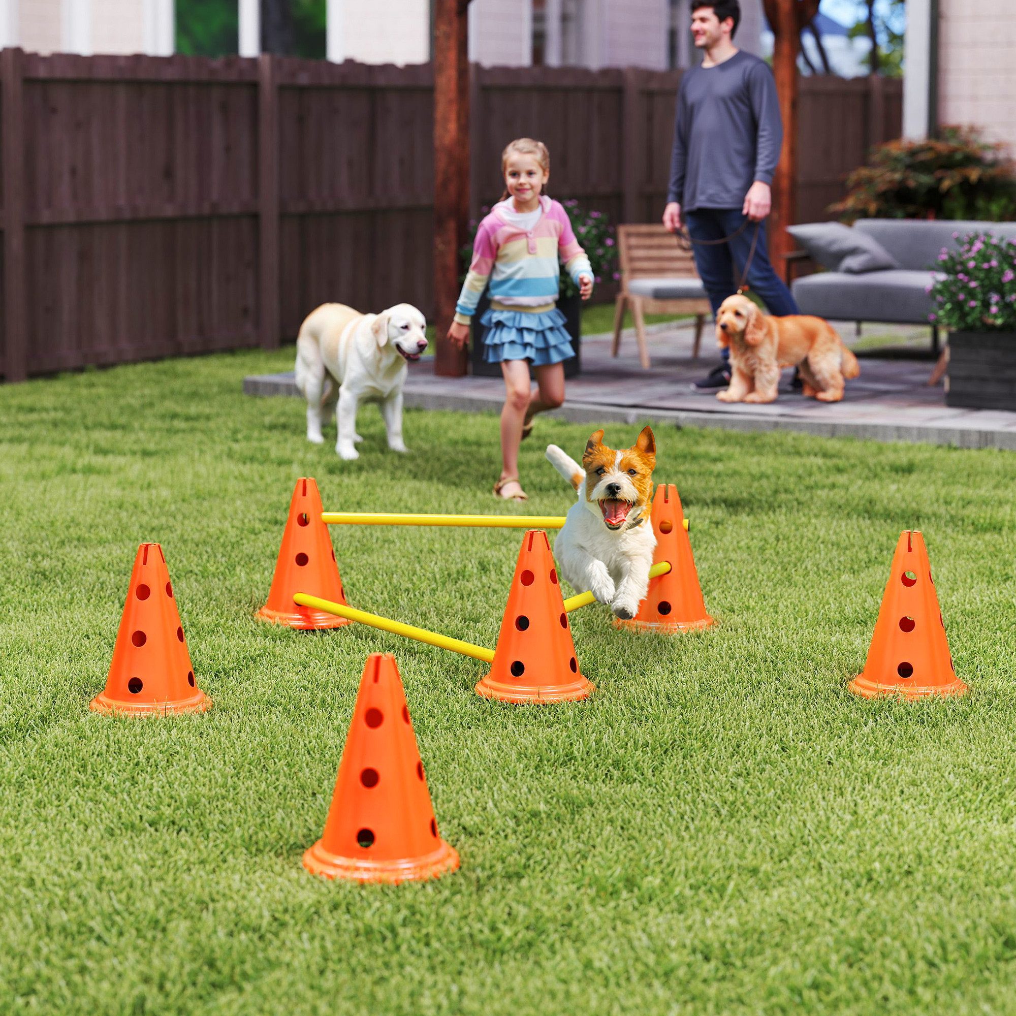 PawHut Agility-Hürde Agility Ausrüstung mit 6 Kegel, 3 höhenverstellbar Hürden, Kunststoff, Agility Set (3-tlg) für Hundetraining, Spiele, Training, Orange