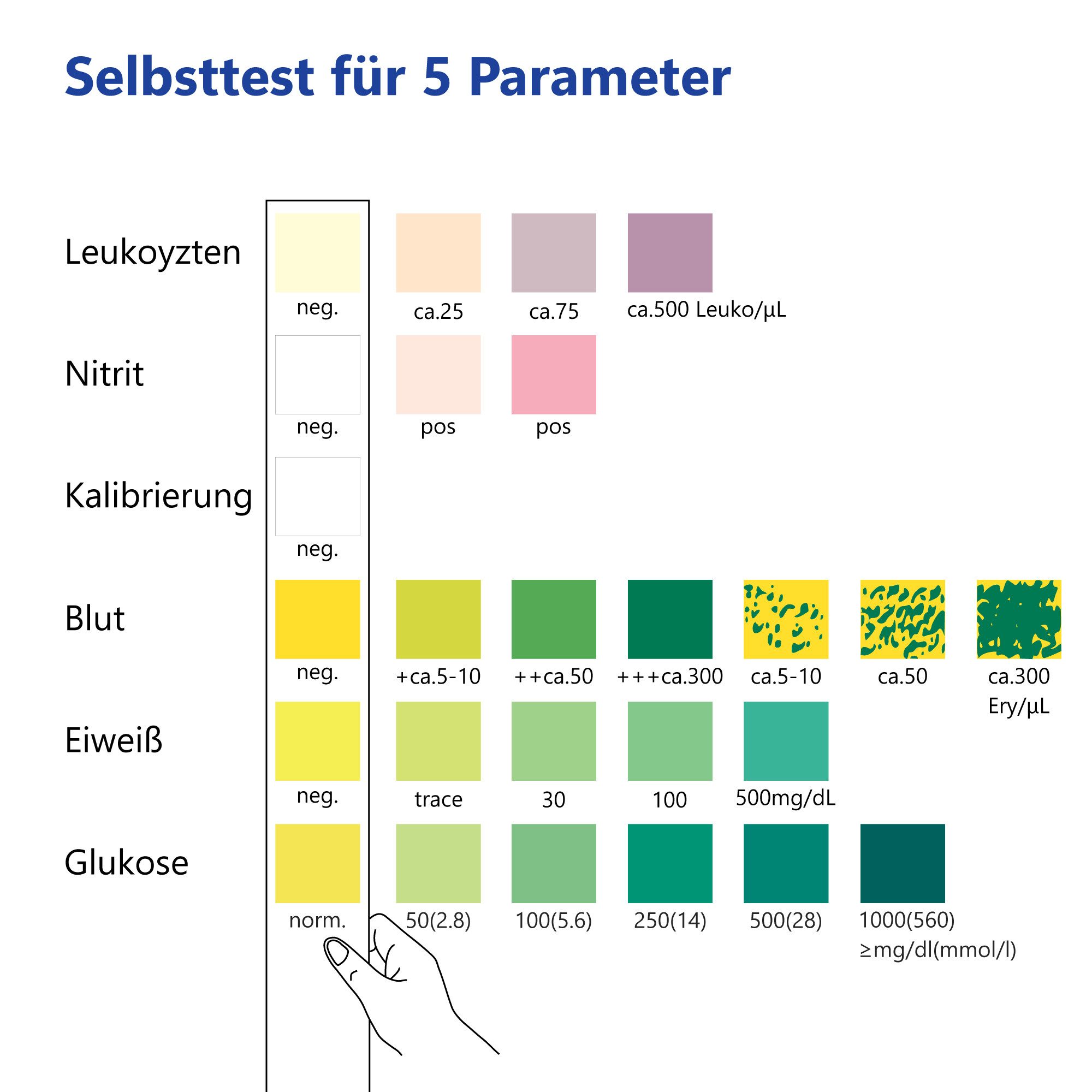 LuxmedIQ Harnsäure-Teststreifen für 5 Parameter - Urin Teststreifen - Blasenentzündung, Harnwegsinfekt, 10-St.