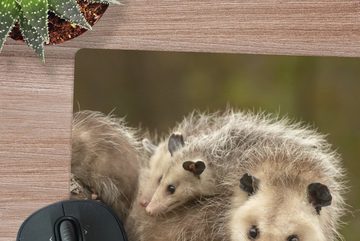 MuchoWow Gaming Mauspad Virginisches Opossum mit Jungtier (1-St), Mousepad mit Rutschfester Unterseite, Gaming, 40x40 cm, XXL, Großes