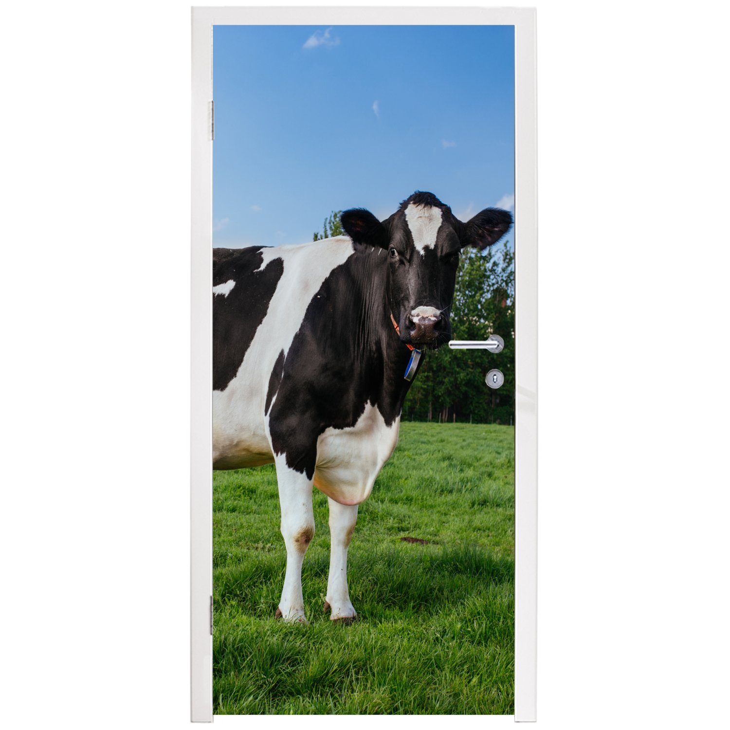 St), 75x205 - bedruckt, Kuh Schwarz MuchoWow Fototapete Weiß Türaufkleber, Tür, Türtapete Matt, Niederlande, - cm (1 - für