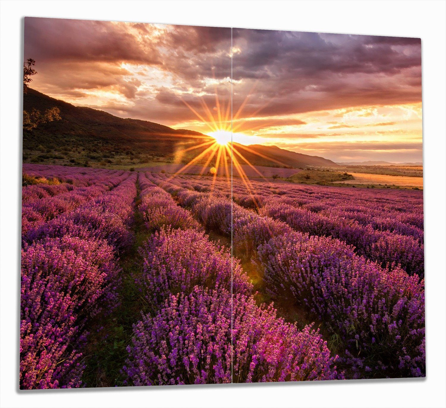 Wallario Herd-Abdeckplatte Lavendelfeld bei Sonnenuntergang - Sonnenstrahlen, ESG-Sicherheitsglas, (Glasplatte, 2 tlg., inkl. 5mm Noppen), verschiedene Größen