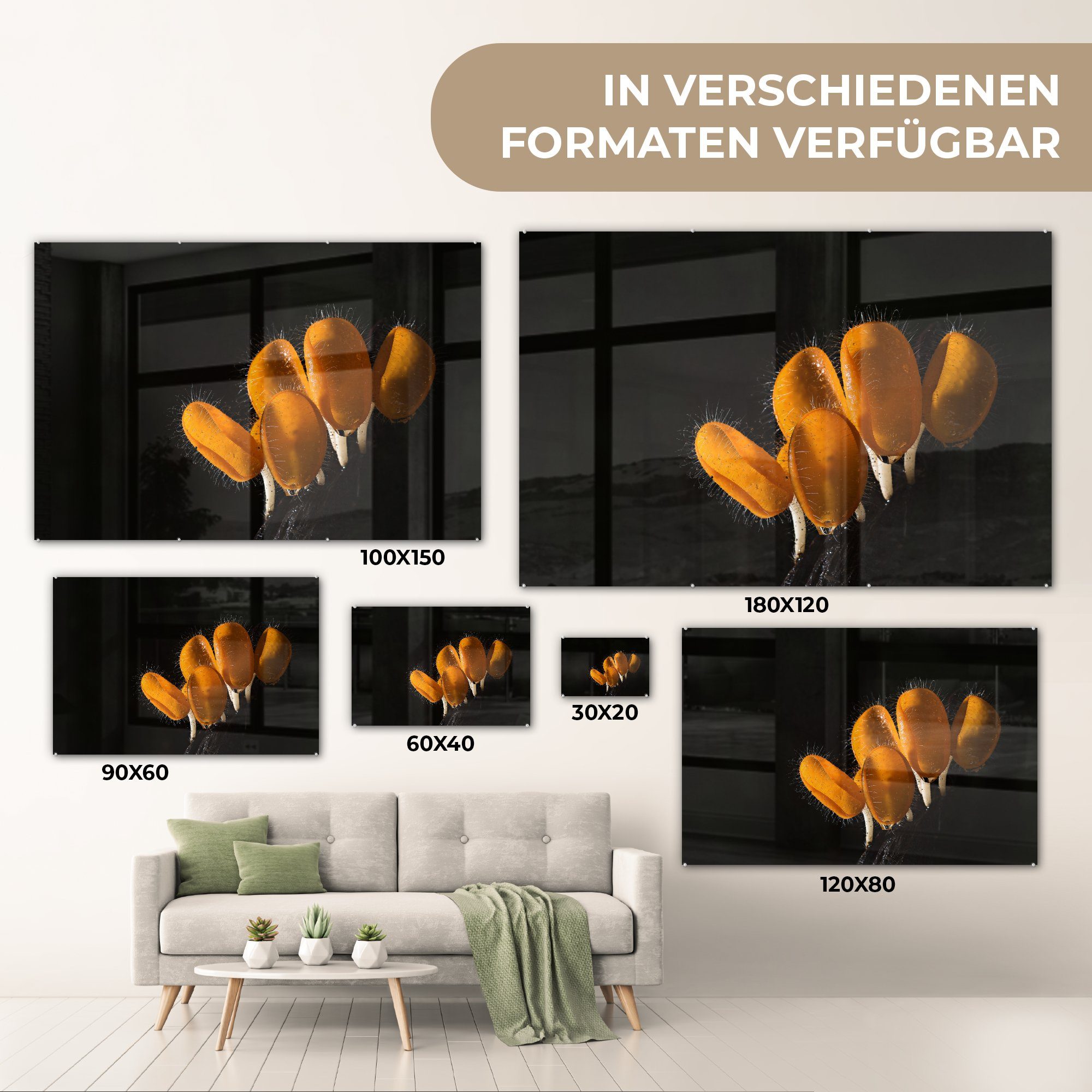 Schlafzimmer MuchoWow Pilze Dunkeln, Acrylglasbild & (1 Orangefarbene im St), Acrylglasbilder Wohnzimmer