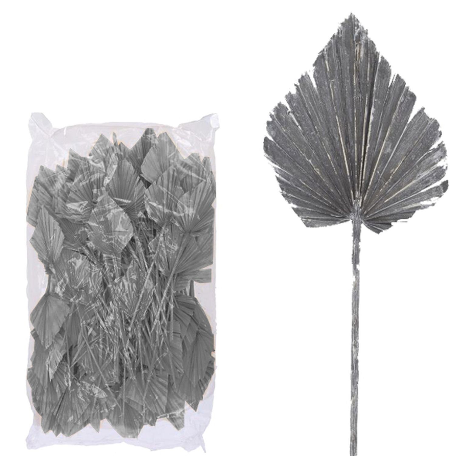 Trockenblume Palmspear Beutel groß Vosteen ind. 100 - - frost-grau, Stück