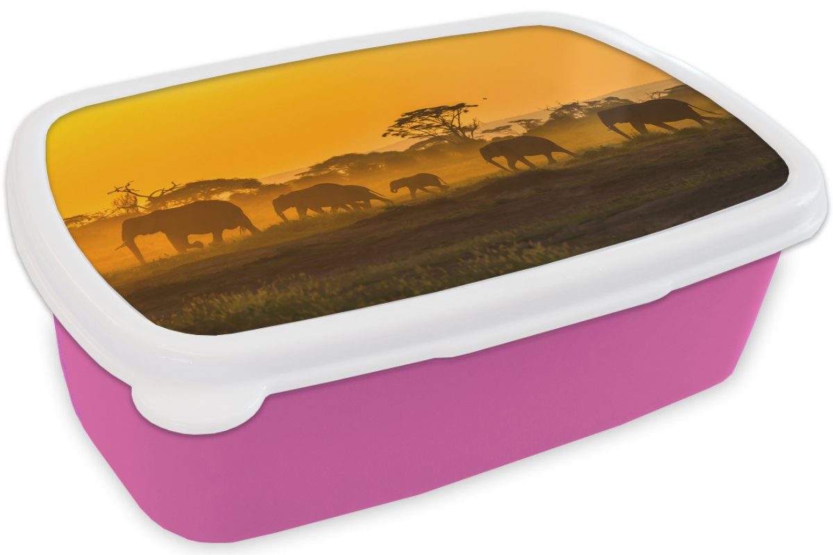 rosa Erwachsene, Brotdose Kunststoff bei Kunststoff, Sonnenaufgang, (2-tlg), Lunchbox Mädchen, für Brotbox Elefantenherde Kinder, MuchoWow Snackbox,