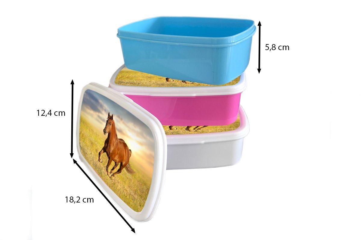 Kinder Lunchbox Pferd (2-tlg), und Brotdose, Erwachsene, für - Mädchen weiß Tier, Gras Brotbox Sonne - Jungs - MuchoWow Kunststoff, für und