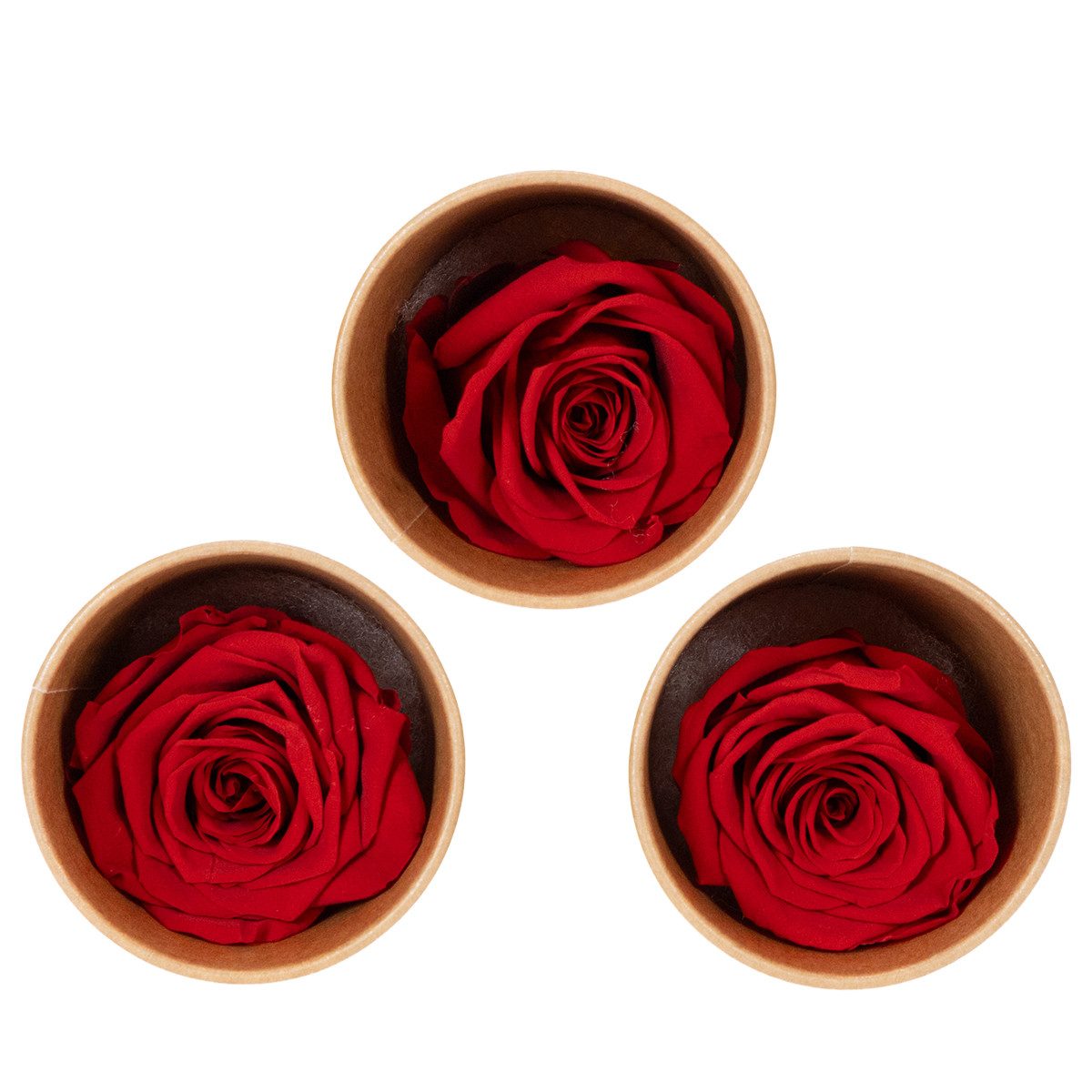Kunstblume Romantische Deko-Rosen für besondere Anlässe und stilvolle, 6 Stück, Florists Products, Höhe 5 cm