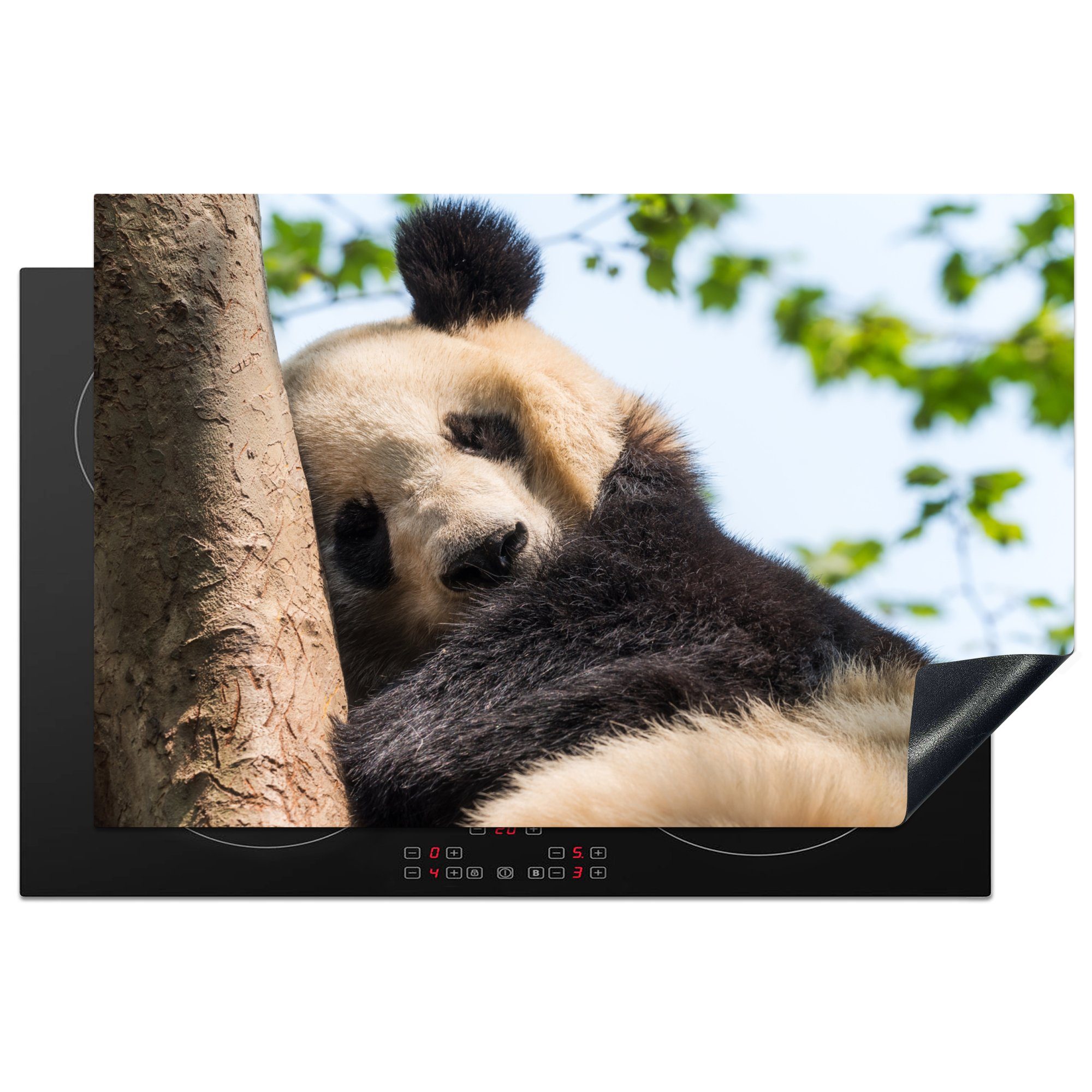 MuchoWow Herdblende-/Abdeckplatte Panda - Schlaf - Baum, Vinyl, (1 tlg), 81x52 cm, Induktionskochfeld Schutz für die küche, Ceranfeldabdeckung