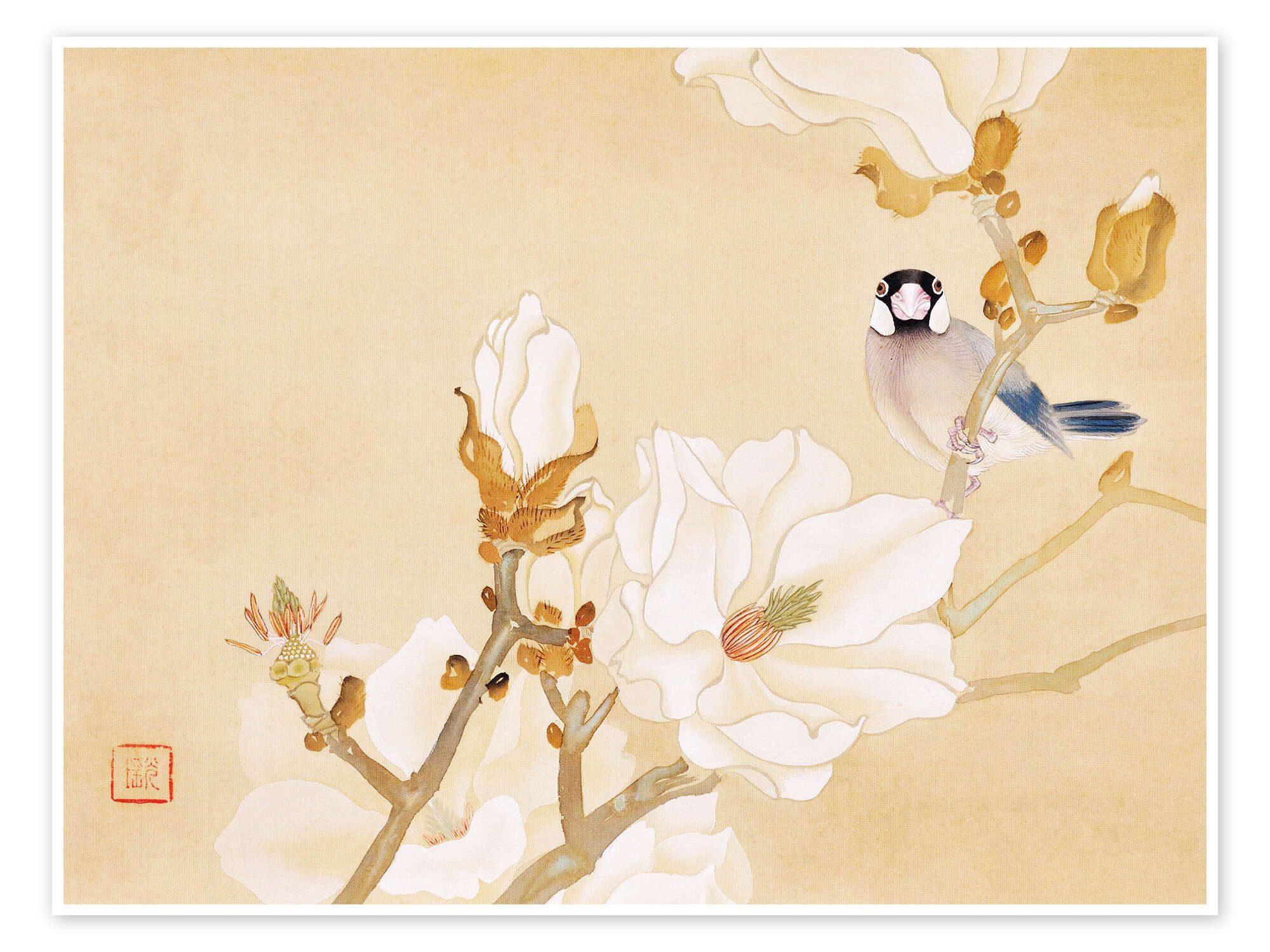 Posterlounge Wandbild Weiße Magnolie, Javasperling, Ishizaki Kōyō, erhältlich als Poster, Leinwandbild, Wandsticker oder Acrylglasbild