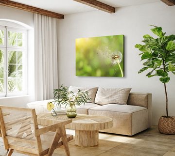 Sinus Art Leinwandbild 120x80cm Wandbild auf Leinwand Natur Pusteblume Grün Sommer Sonnensche, (1 St)
